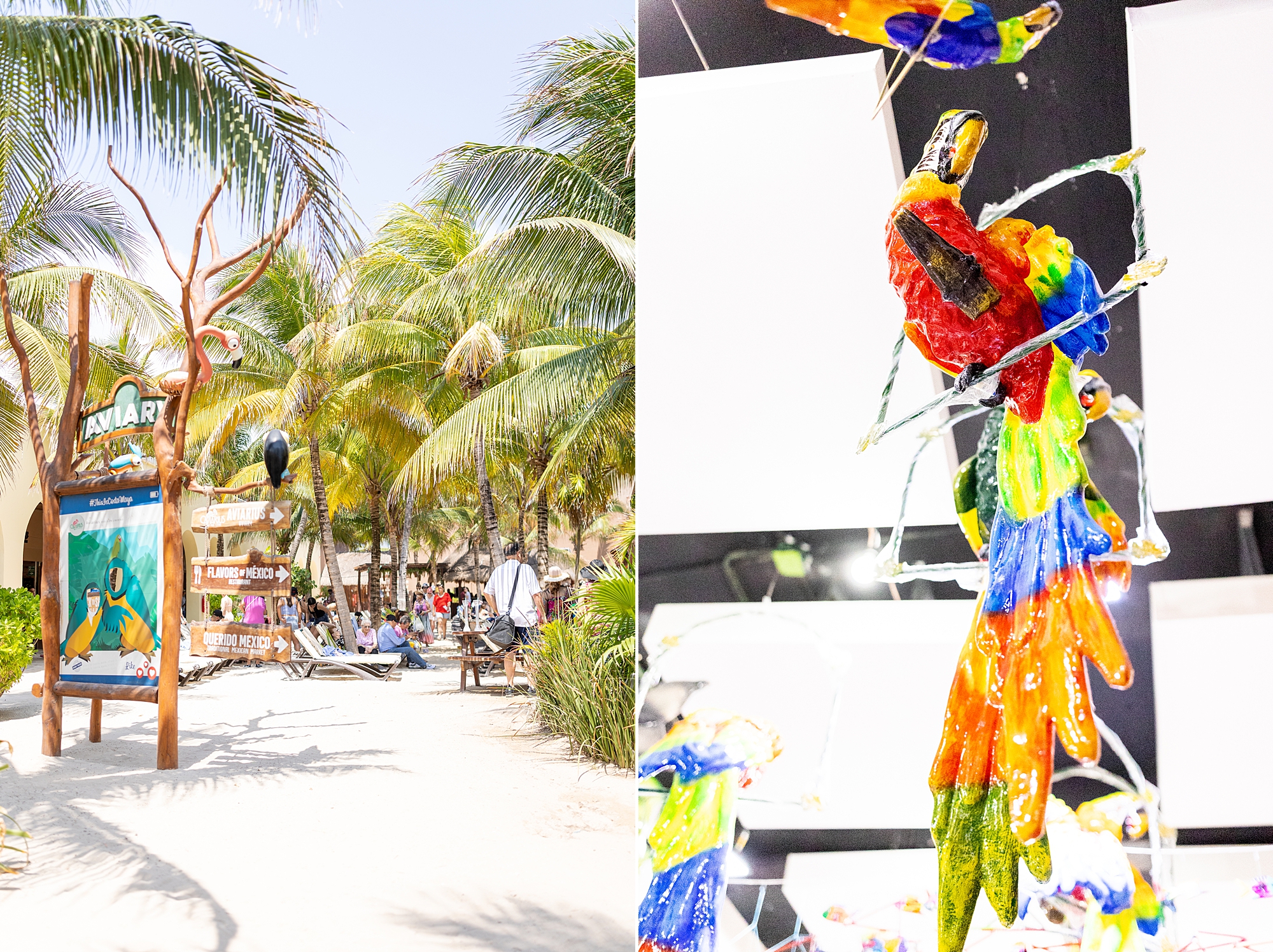 colorful bird and sights from cruise port