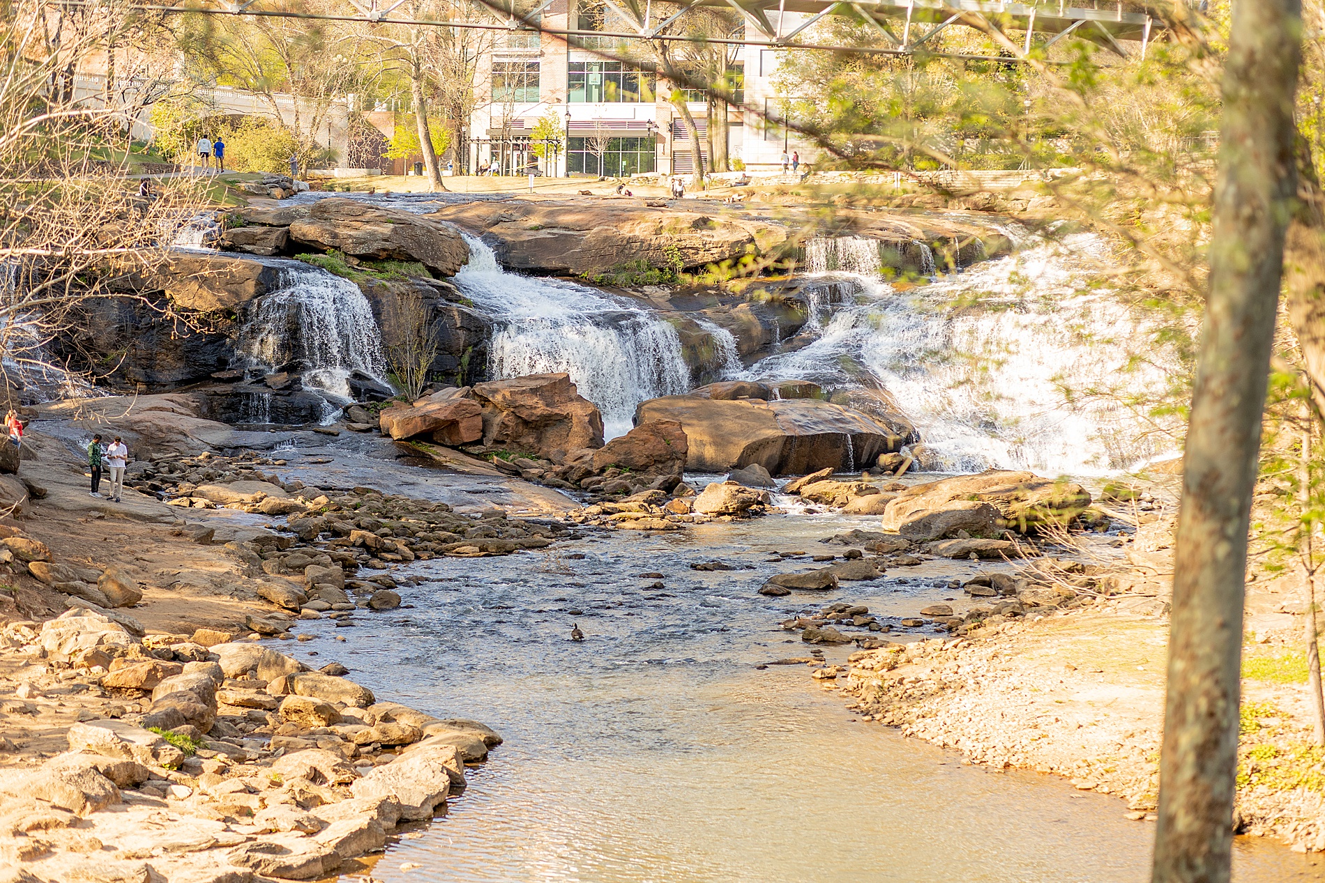 rocky waterfall portrait location in Greenville, SC