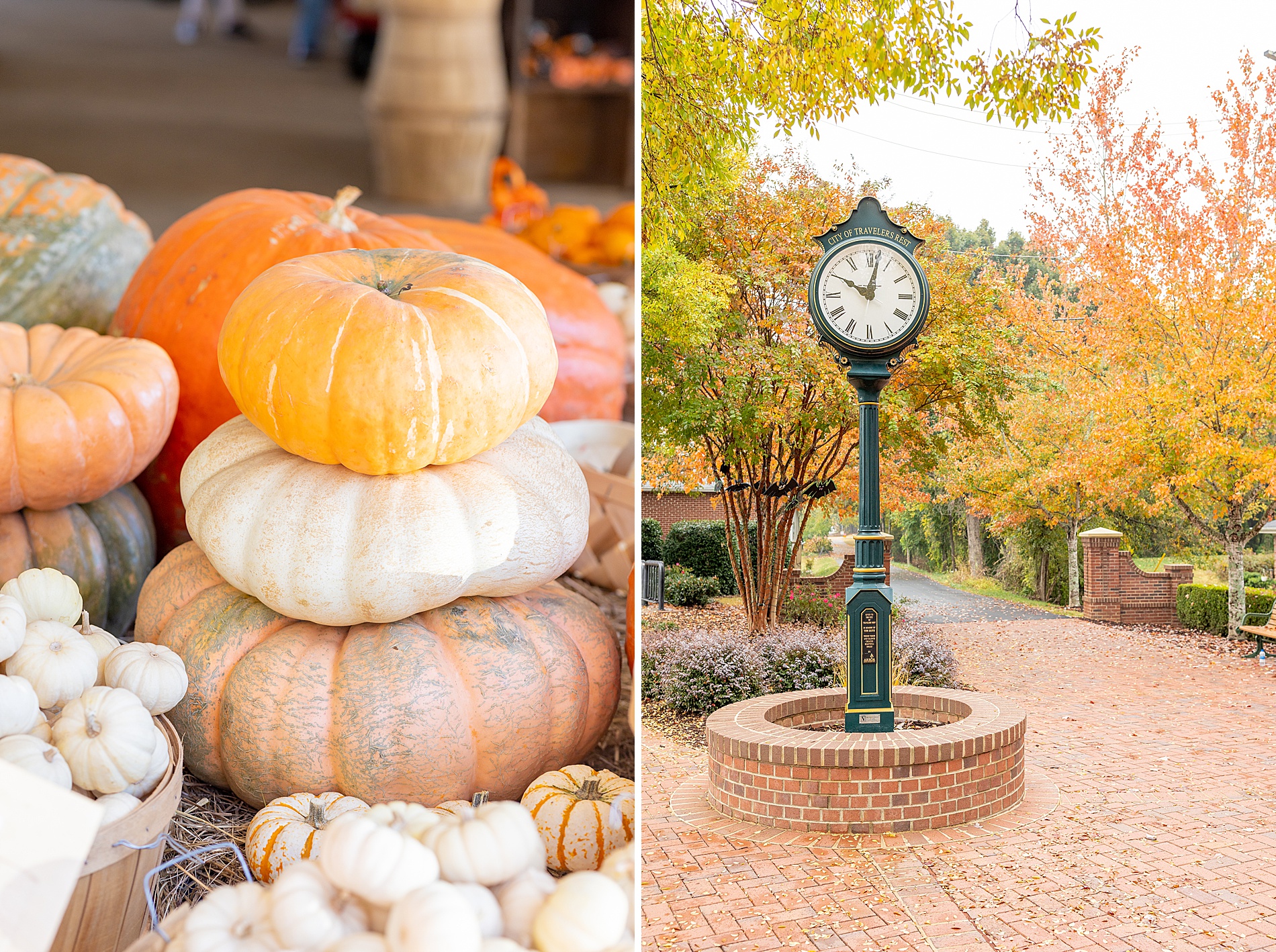 fall portaits in downtown travelers rest