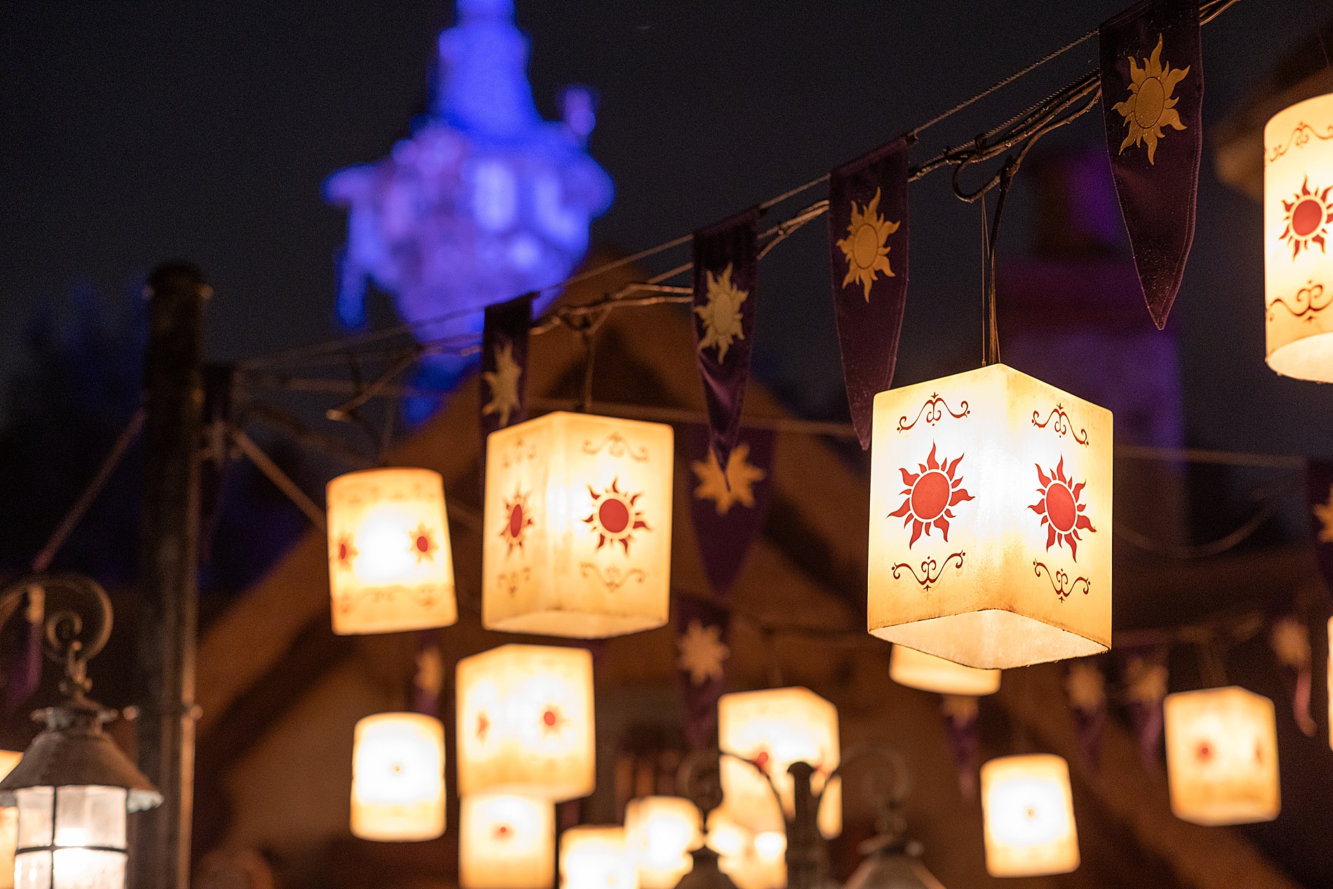 Disney tangled lanterns at night
