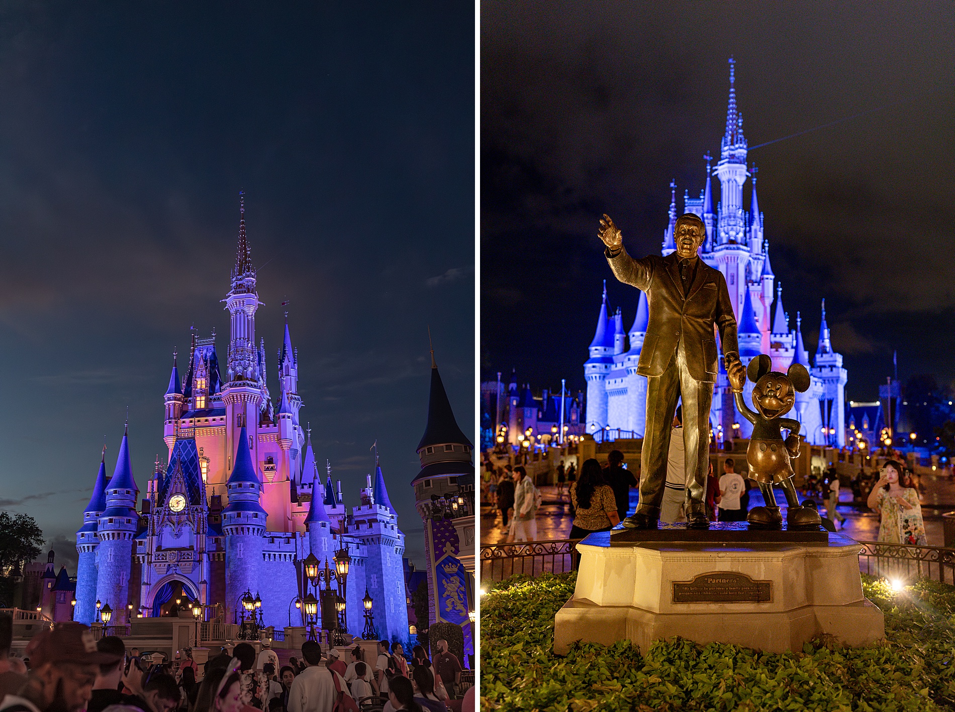 Disney Castle lit up at night