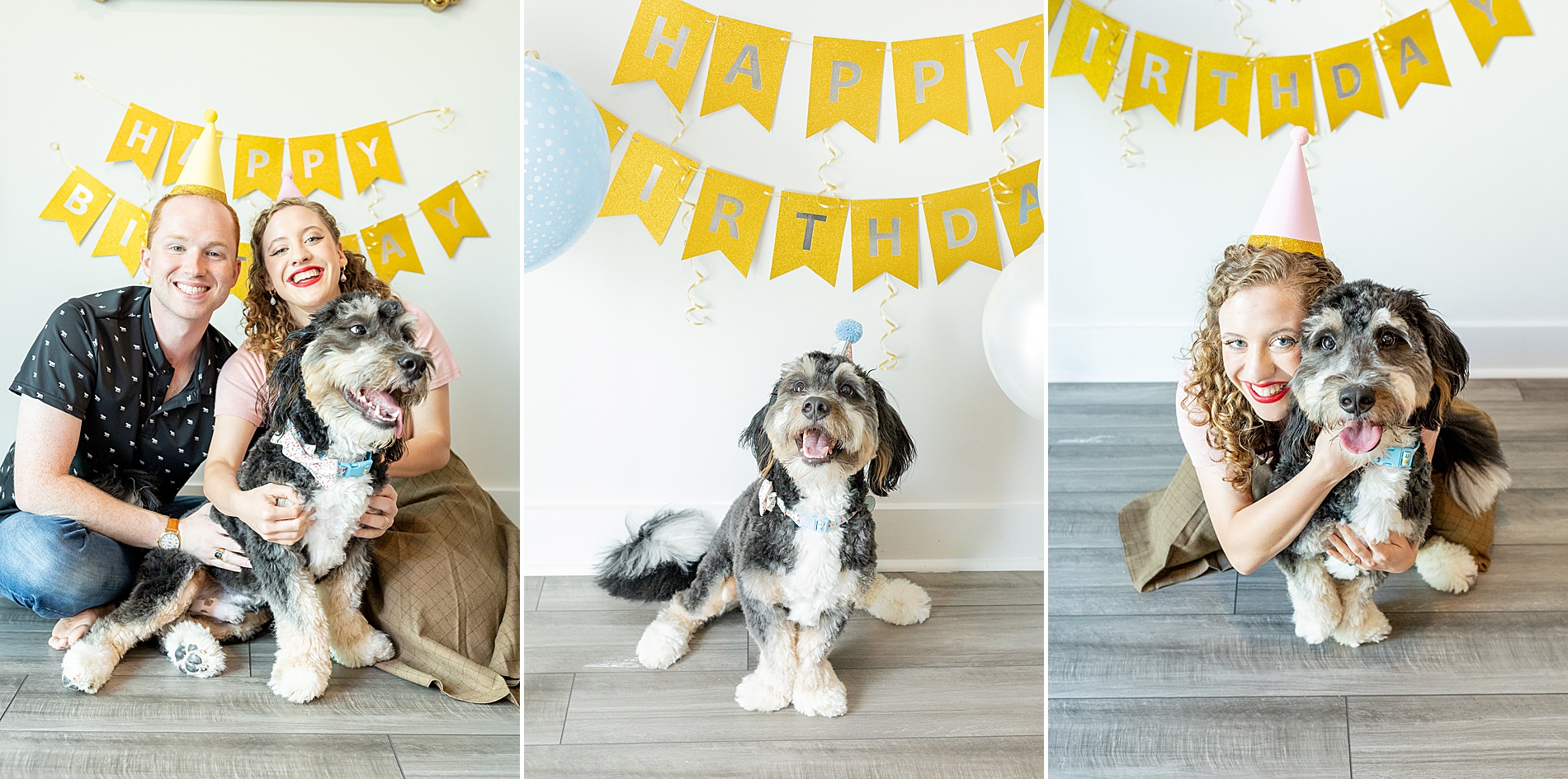 couples hold their dog and celebrate dog's birthday