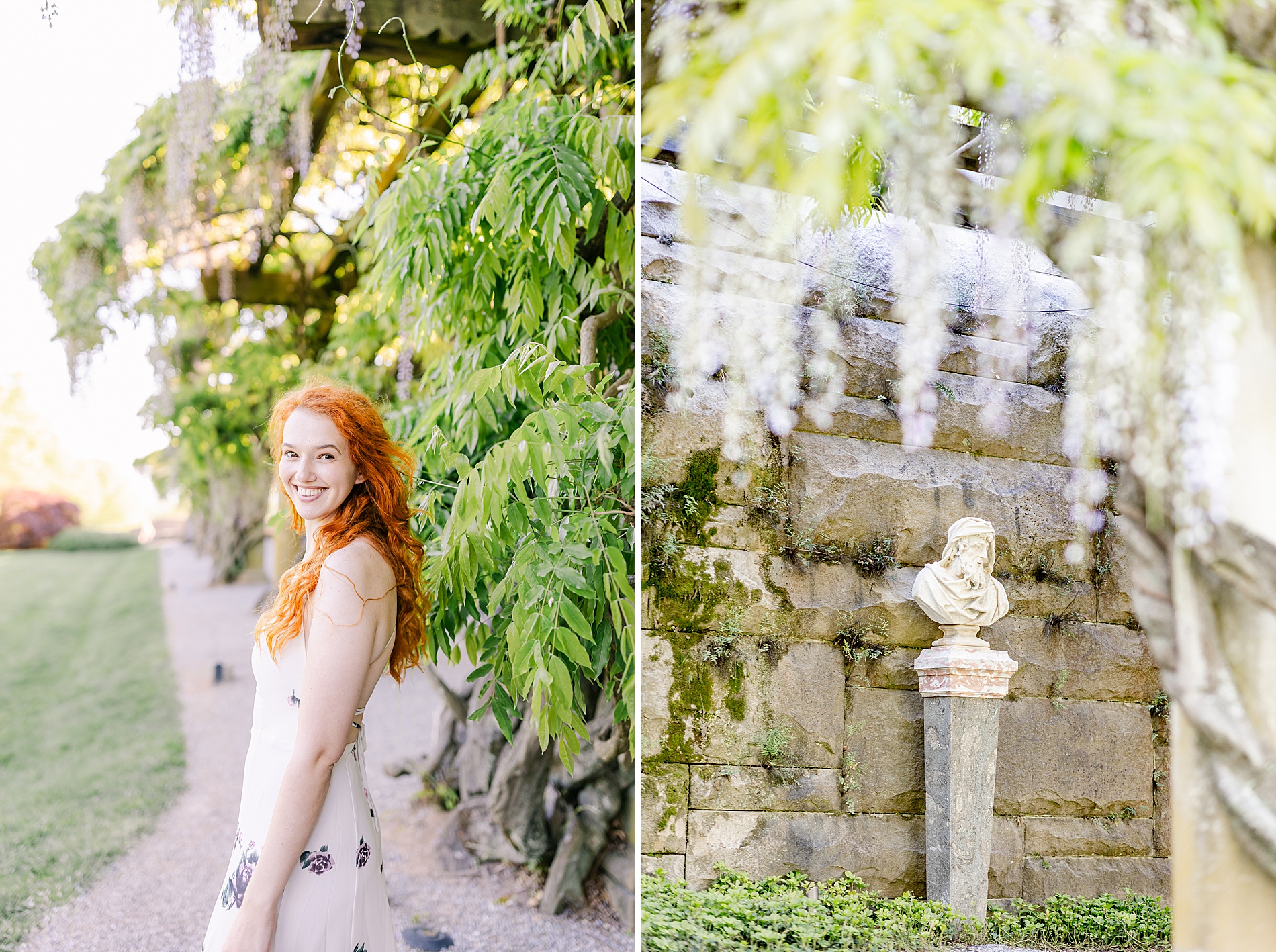 woman under blooming wisteria