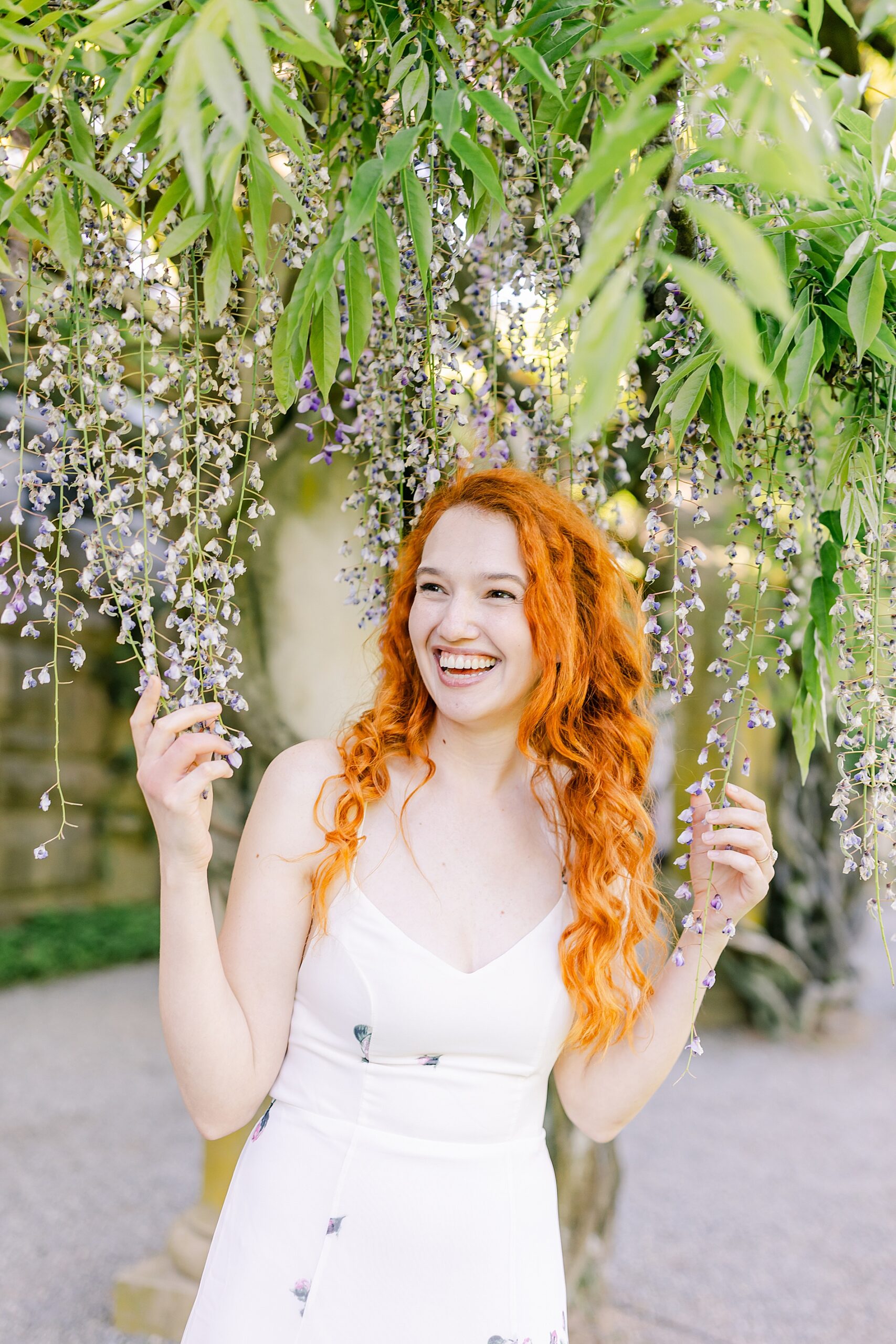 woman under wisteria at Biltmore Estate