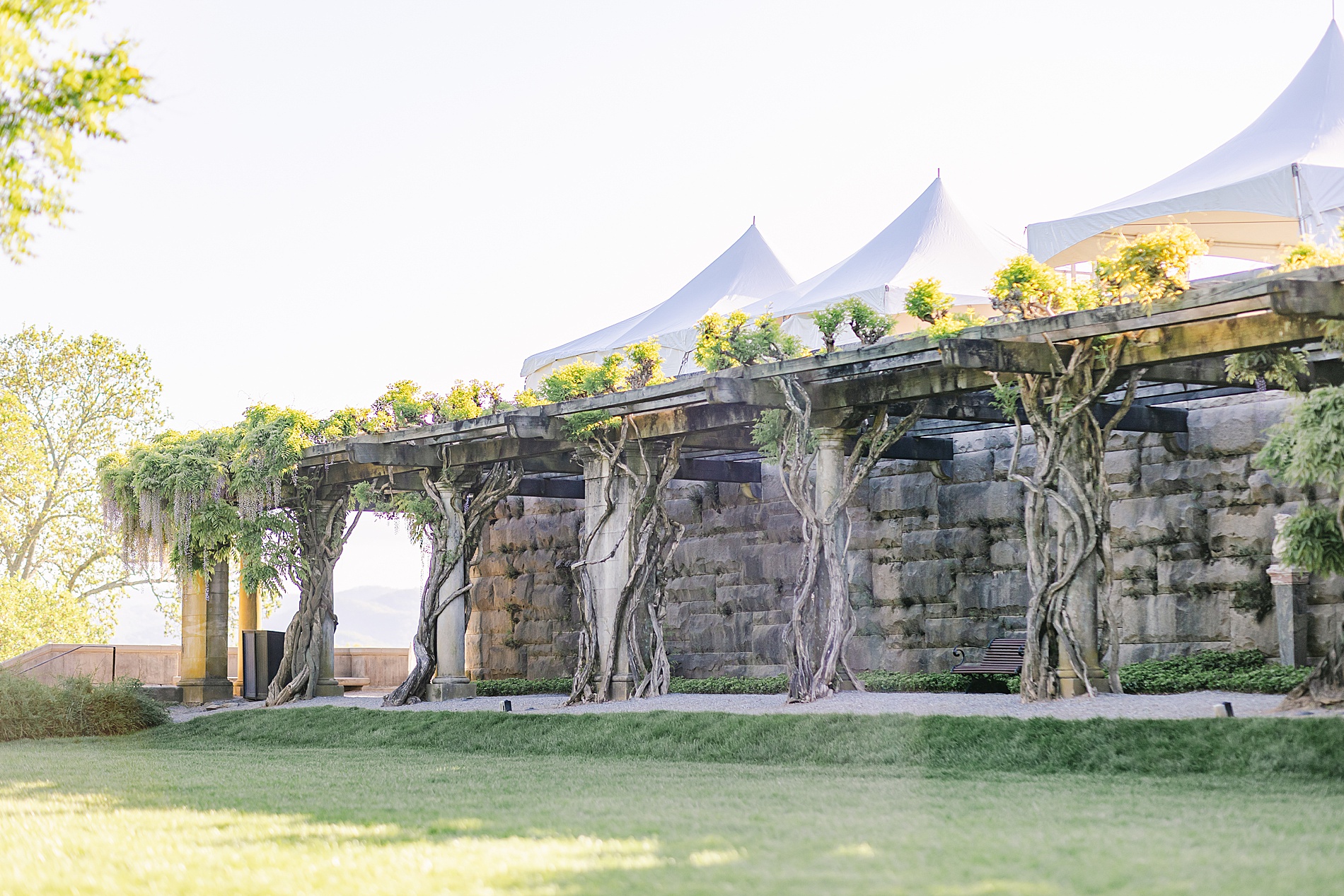 scenic spots at Biltmore Estate Engagement Session