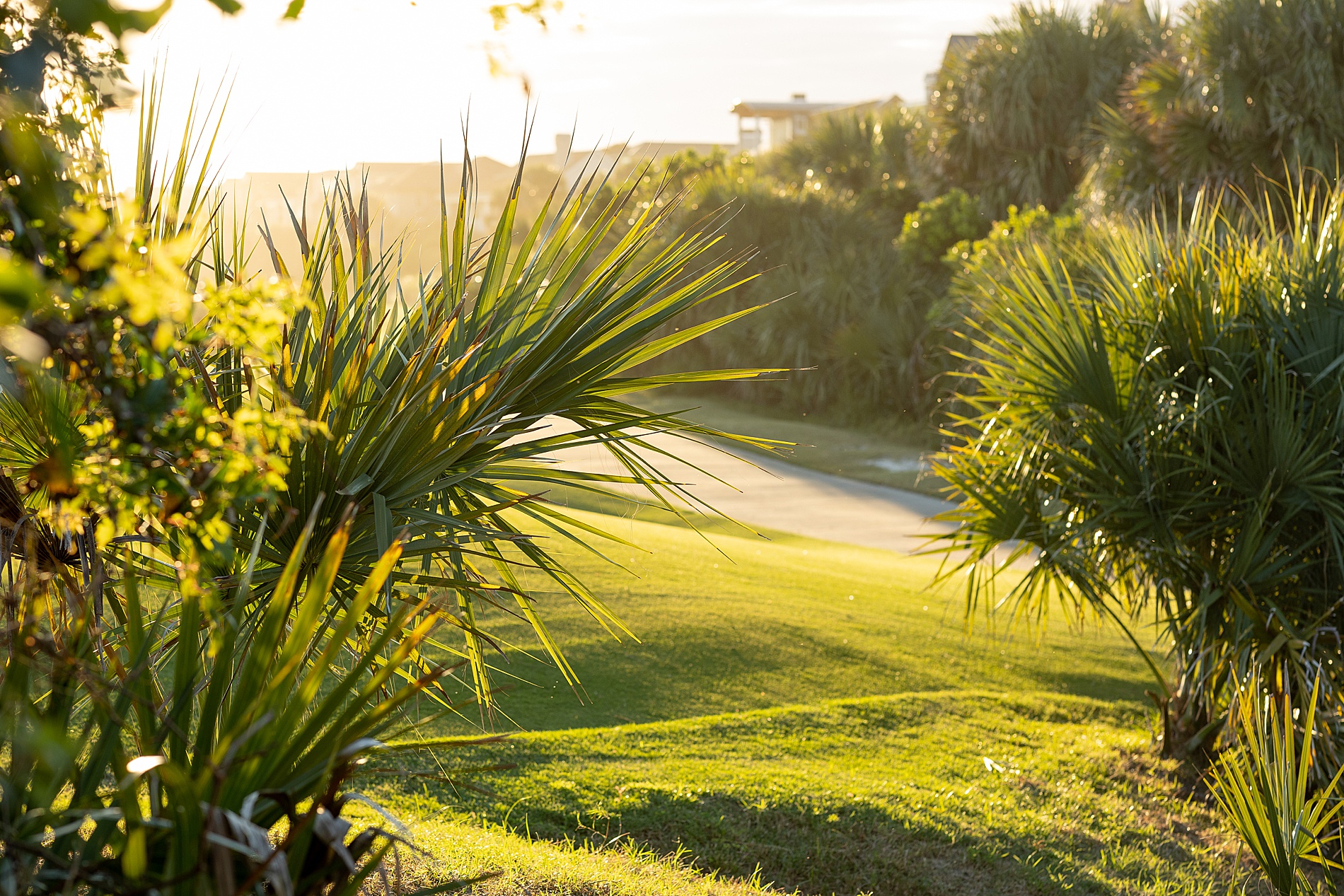 scenic spot on Charleston beach