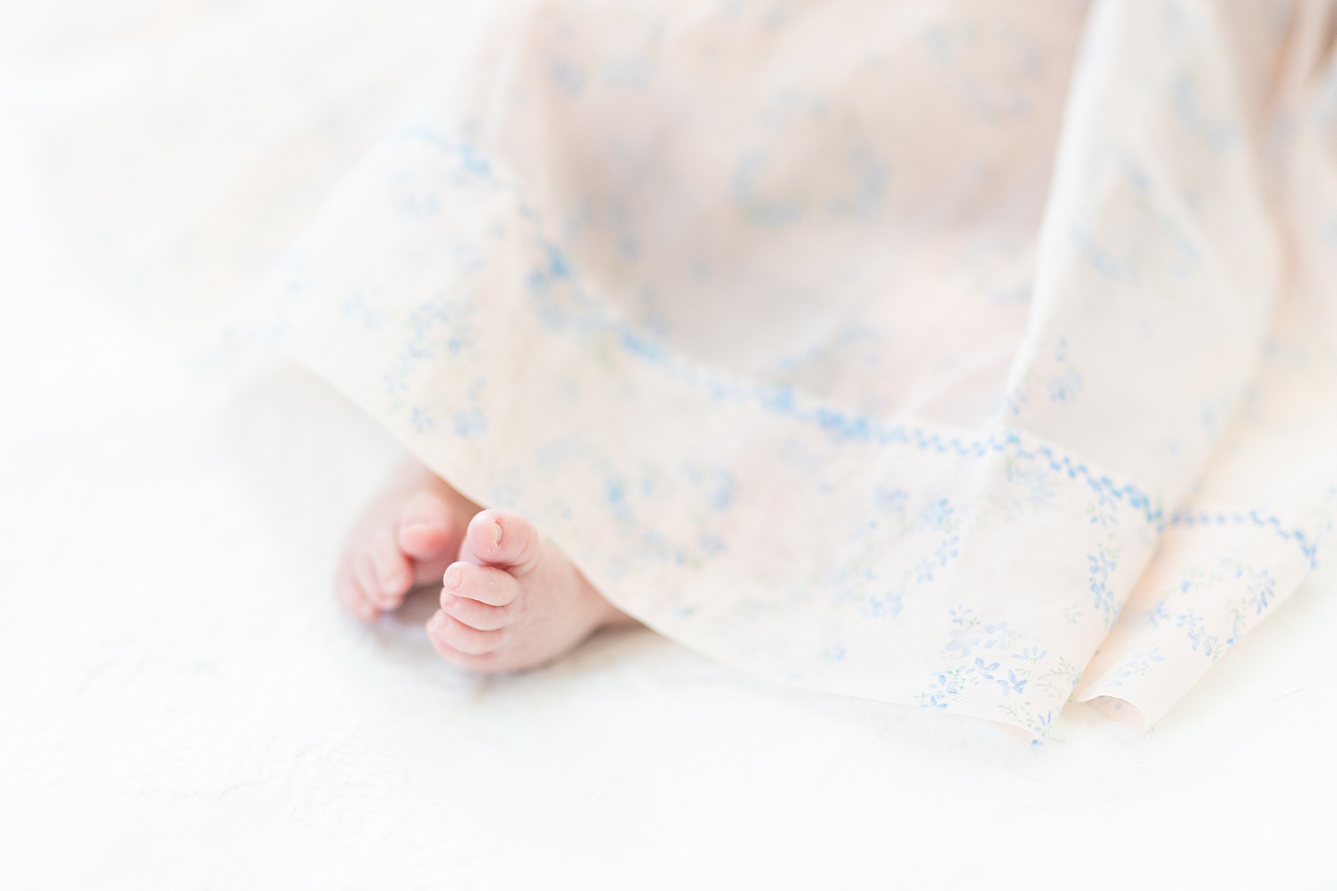 classic newborn photos by SC family photographer 