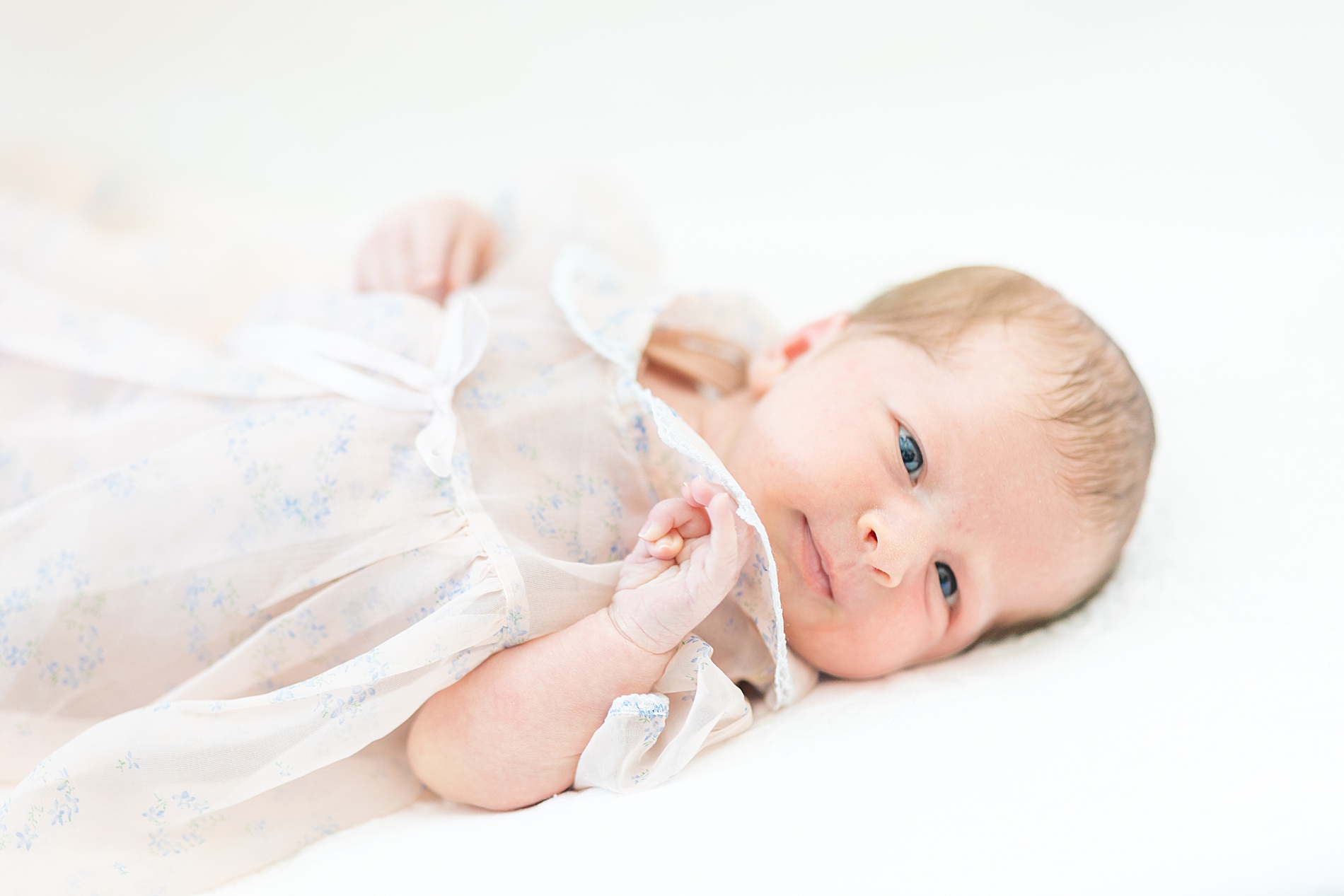 light and airy newborn photos 