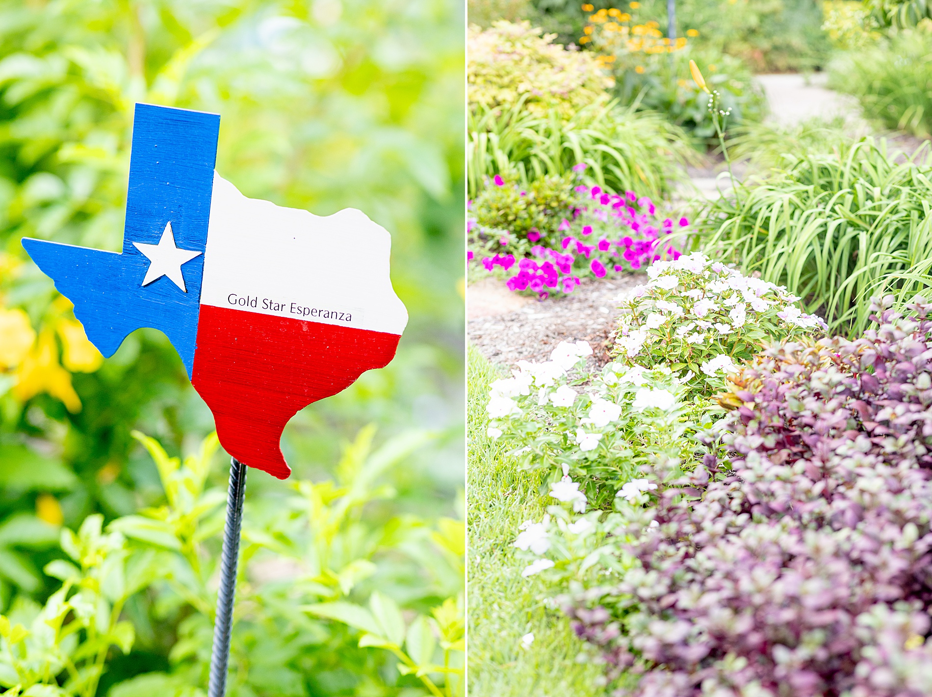 texas sign in Tyler Rose Garden