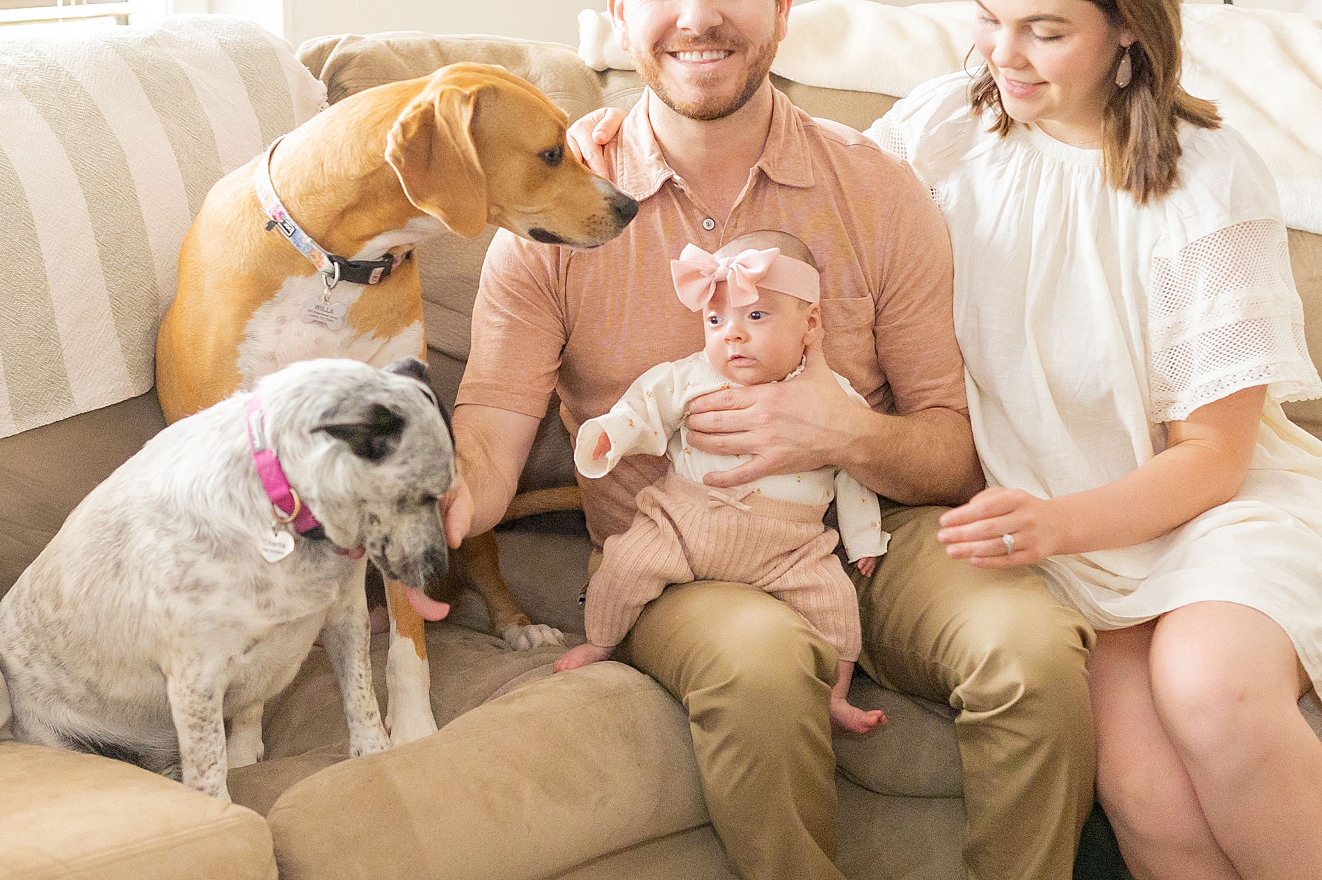 family dogs with newborn