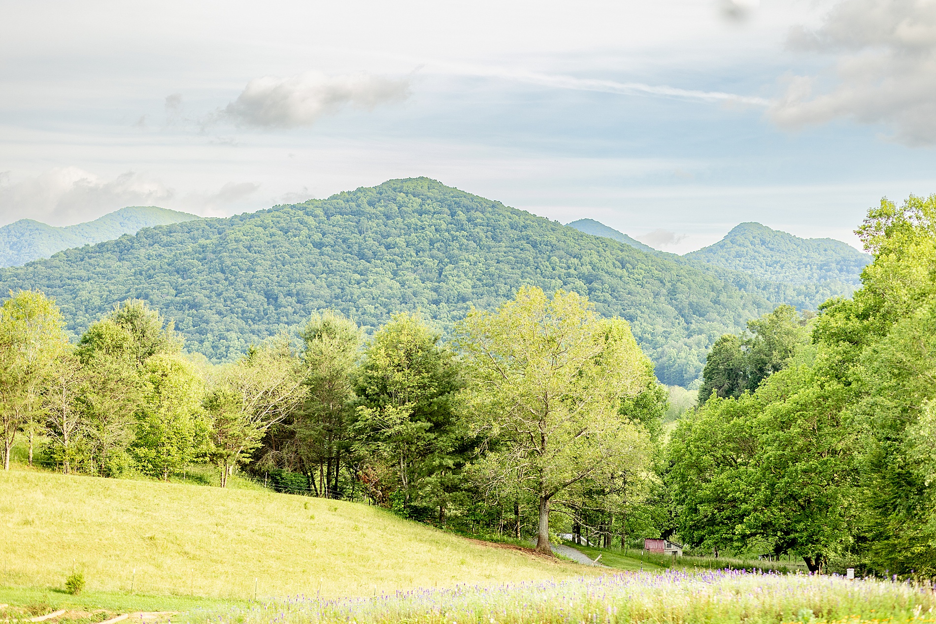 Ethereal Wedding in Asheville at The Never Ending Flower Farm