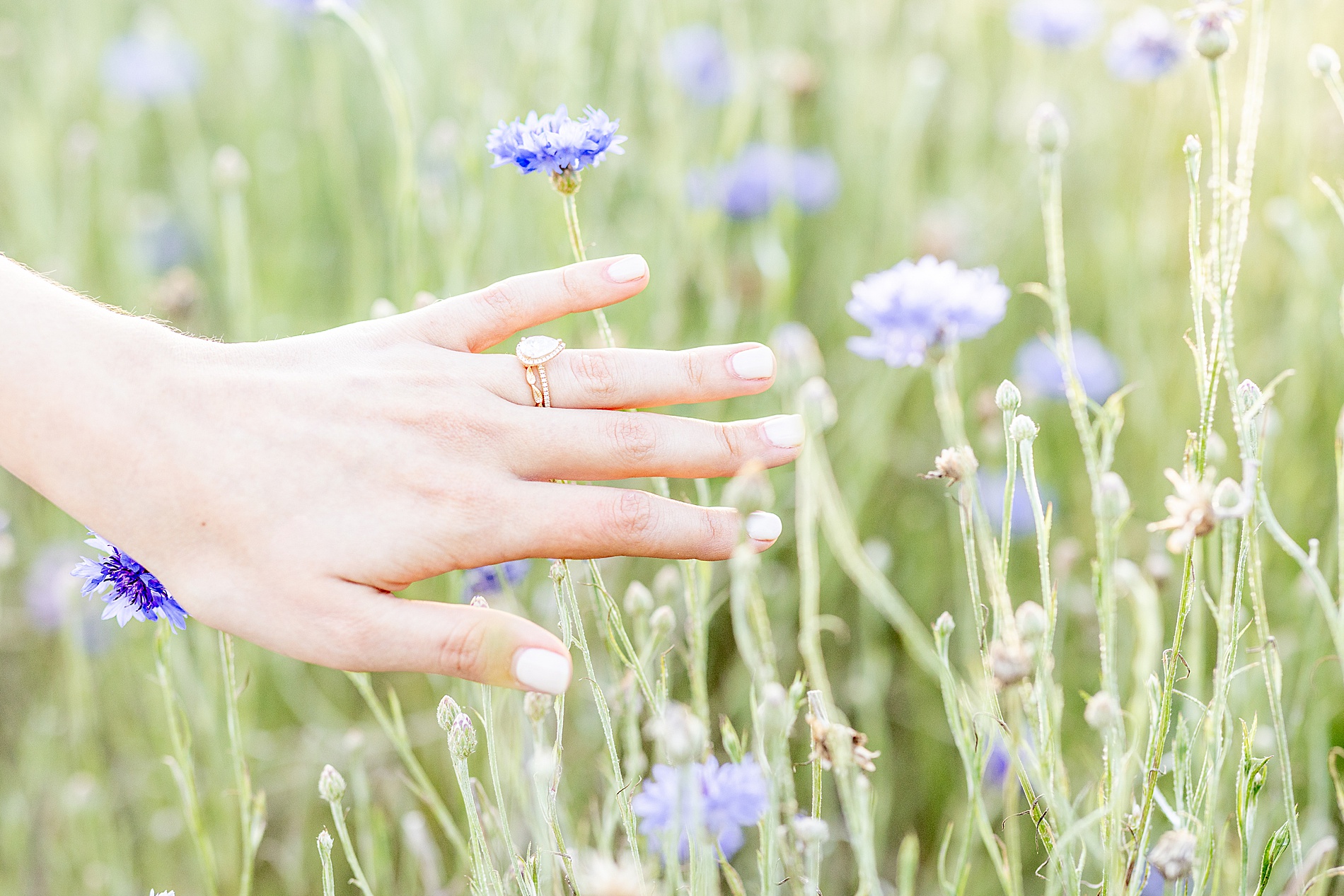 bride's engagement ring