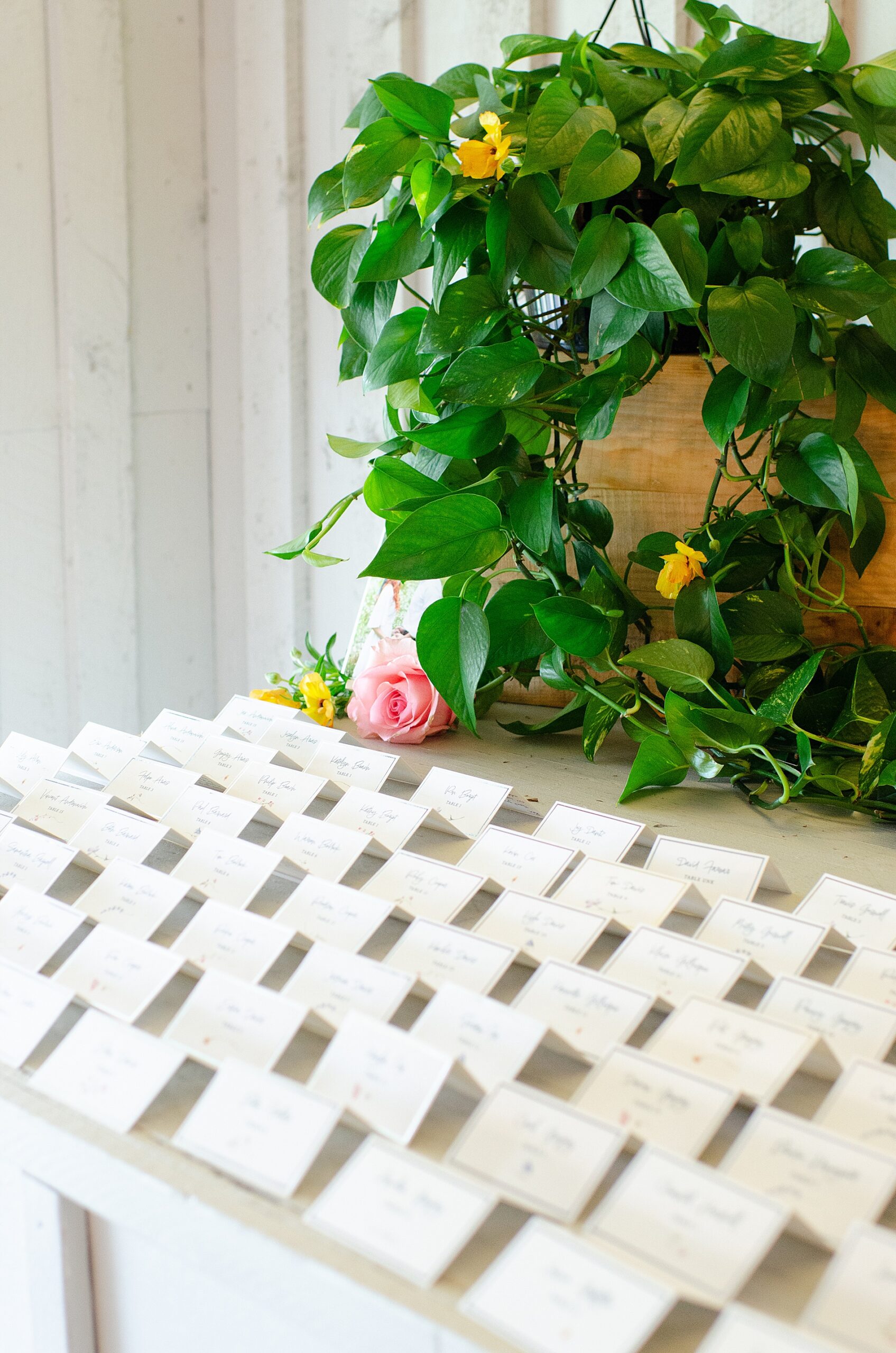 place card display 