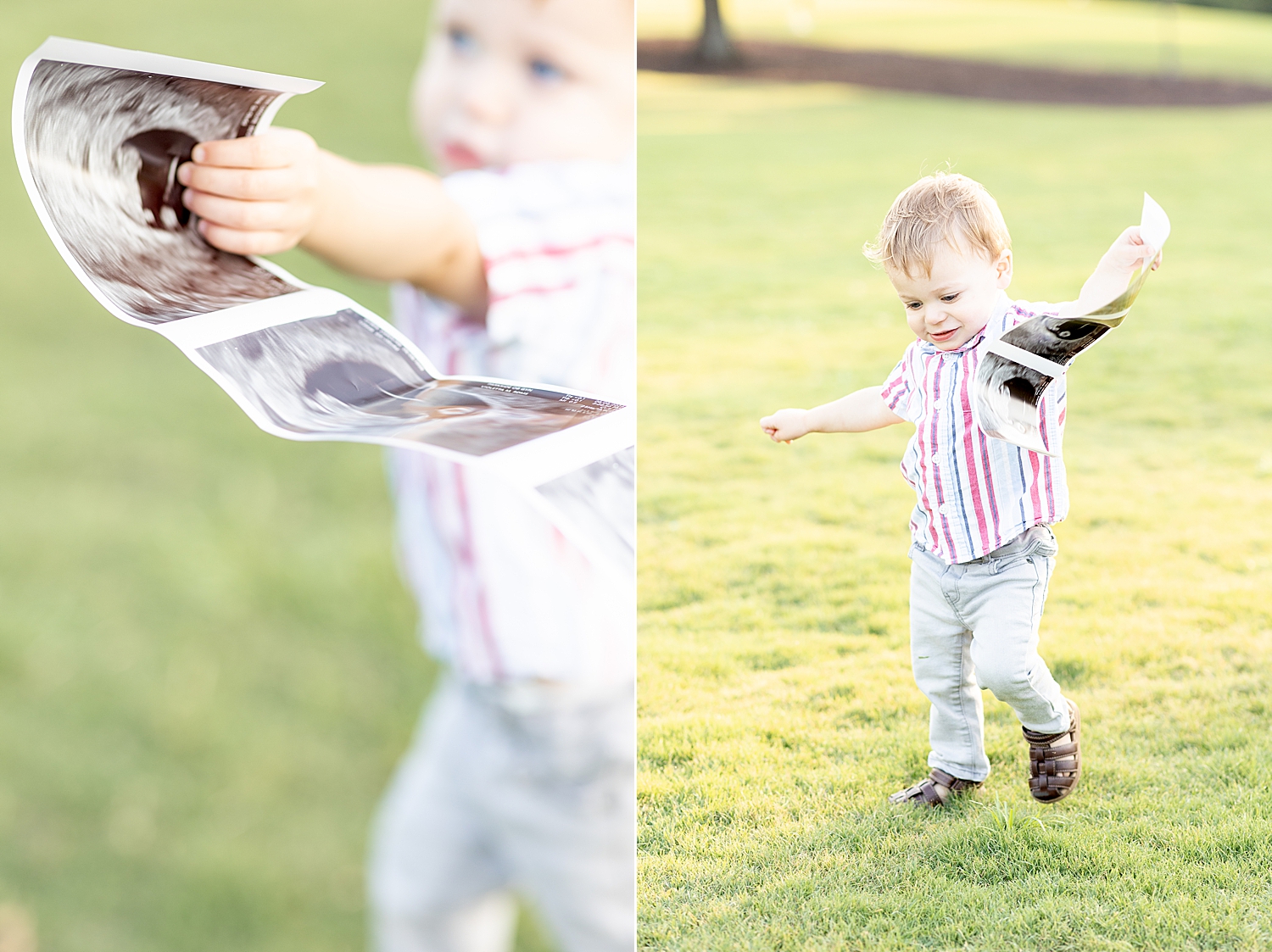 Legacy Park Family Session and pregnancy announcement 