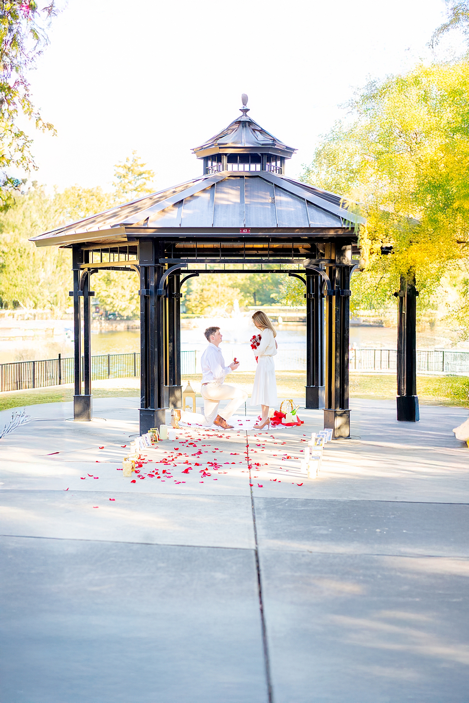 Surprise Proposal in Pullen Park 