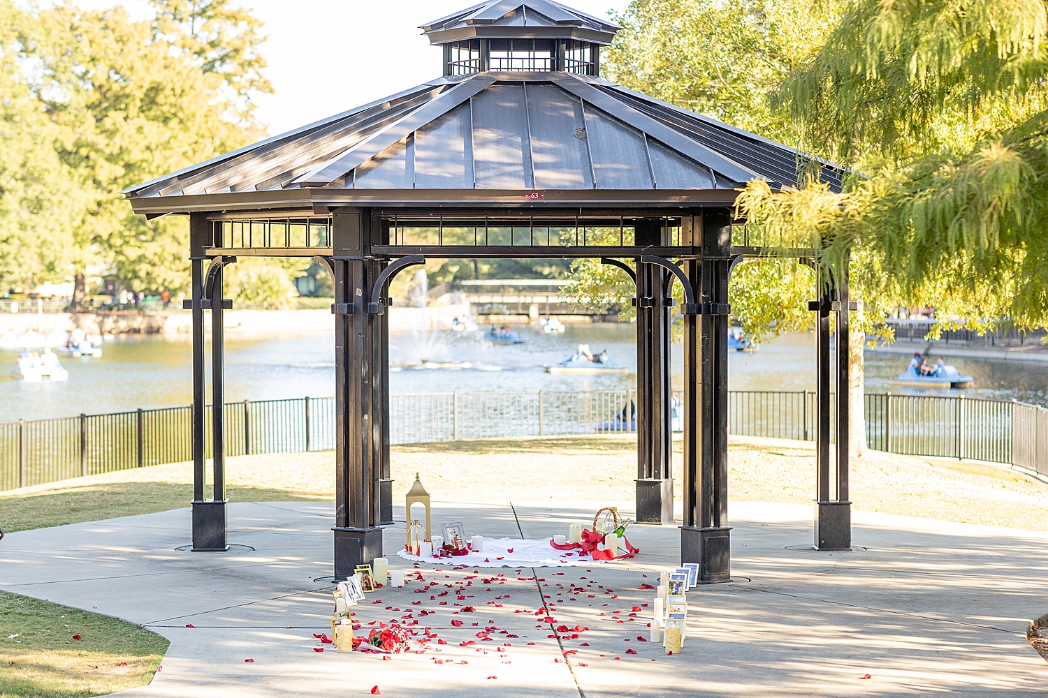 Surprise Proposal in Pullen Park | Raleigh, NC Photographer