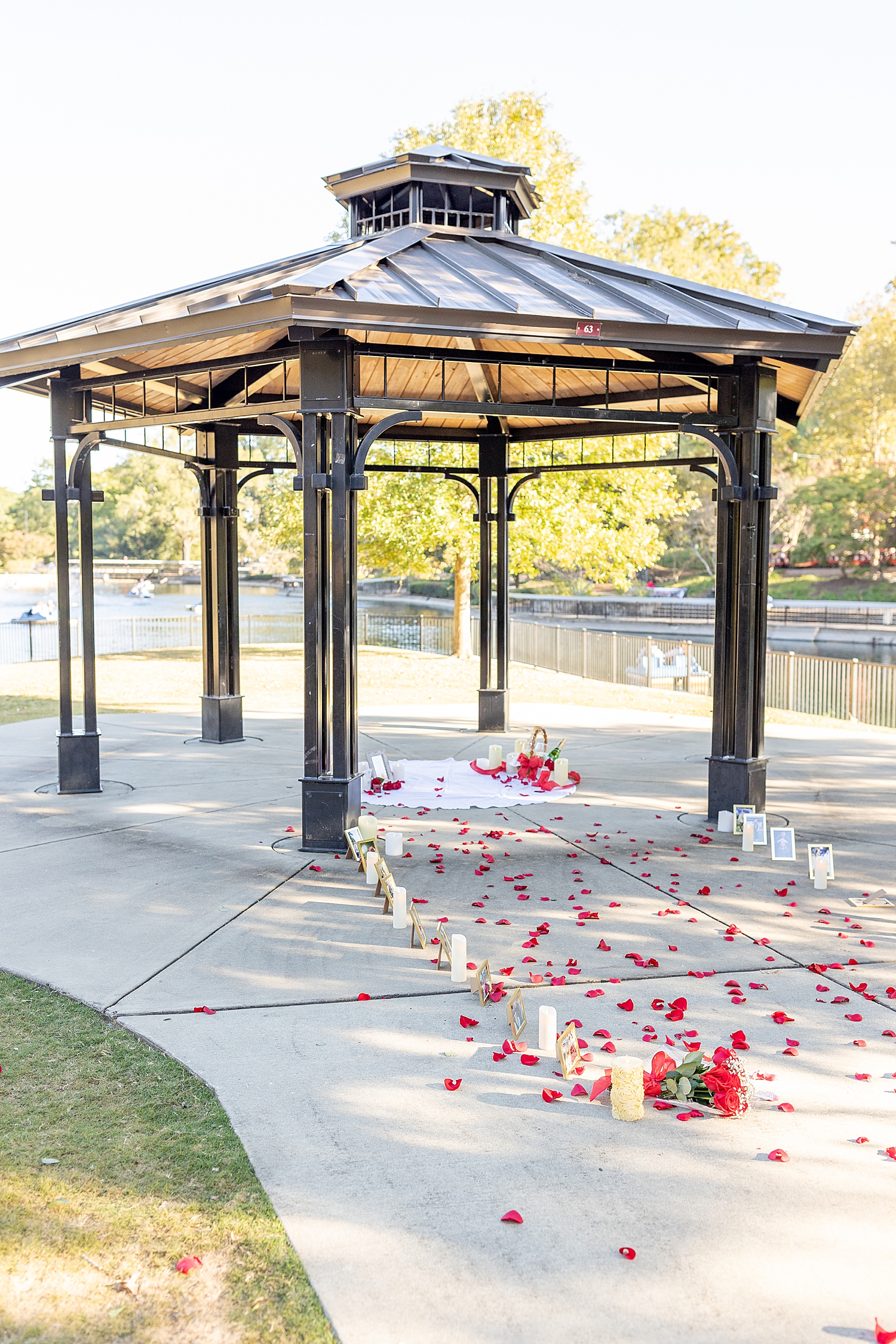 romantic proposal set up with red rose petals