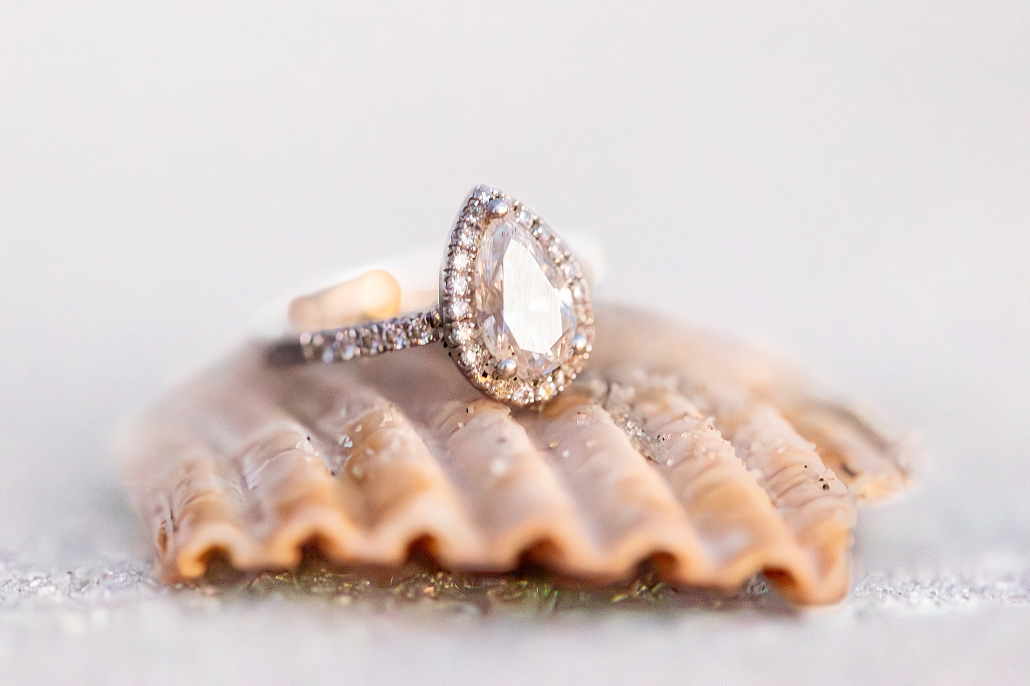 engagement ring on seashell