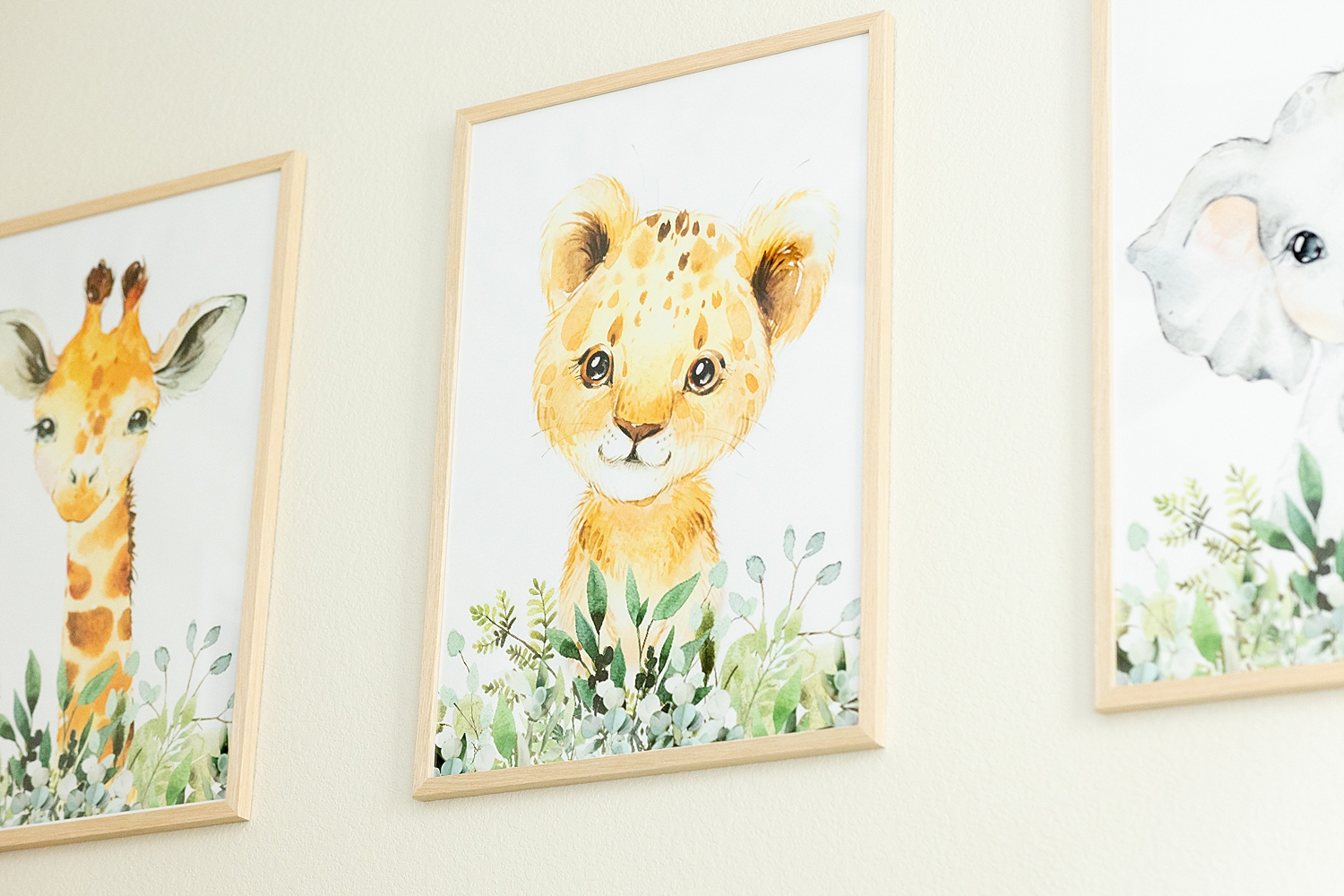 baby animal pictures in nursery 