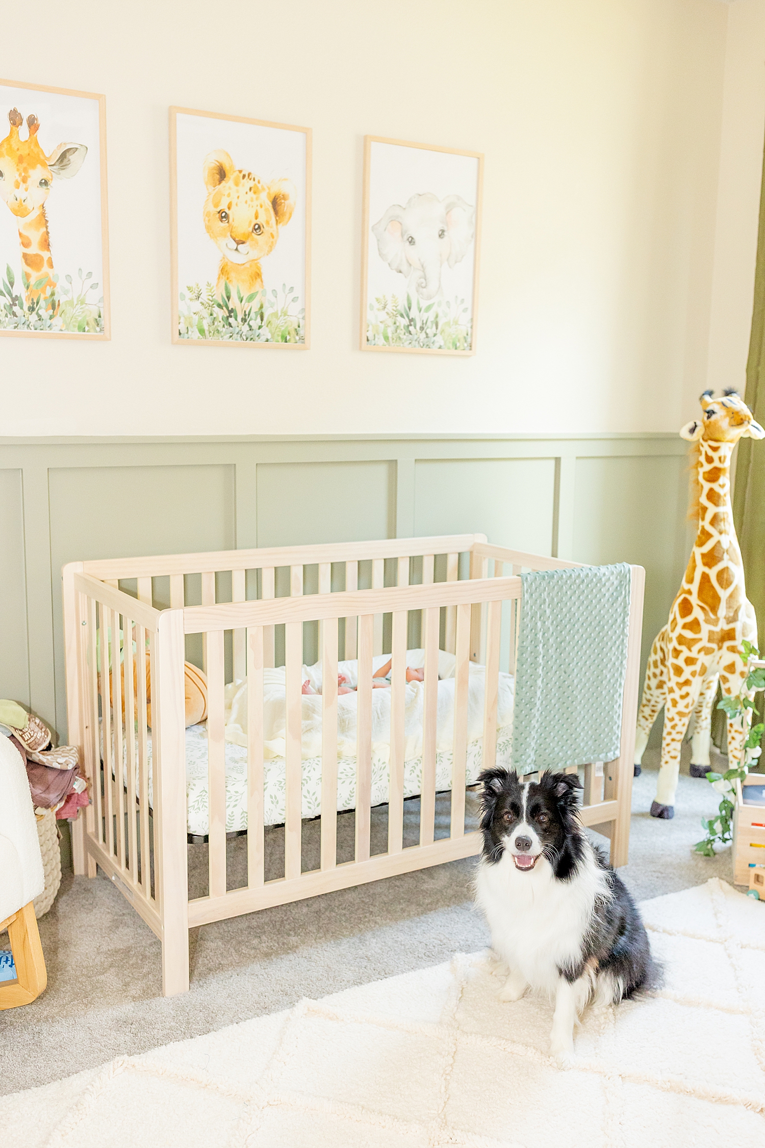 family dog in baby boy nursery 