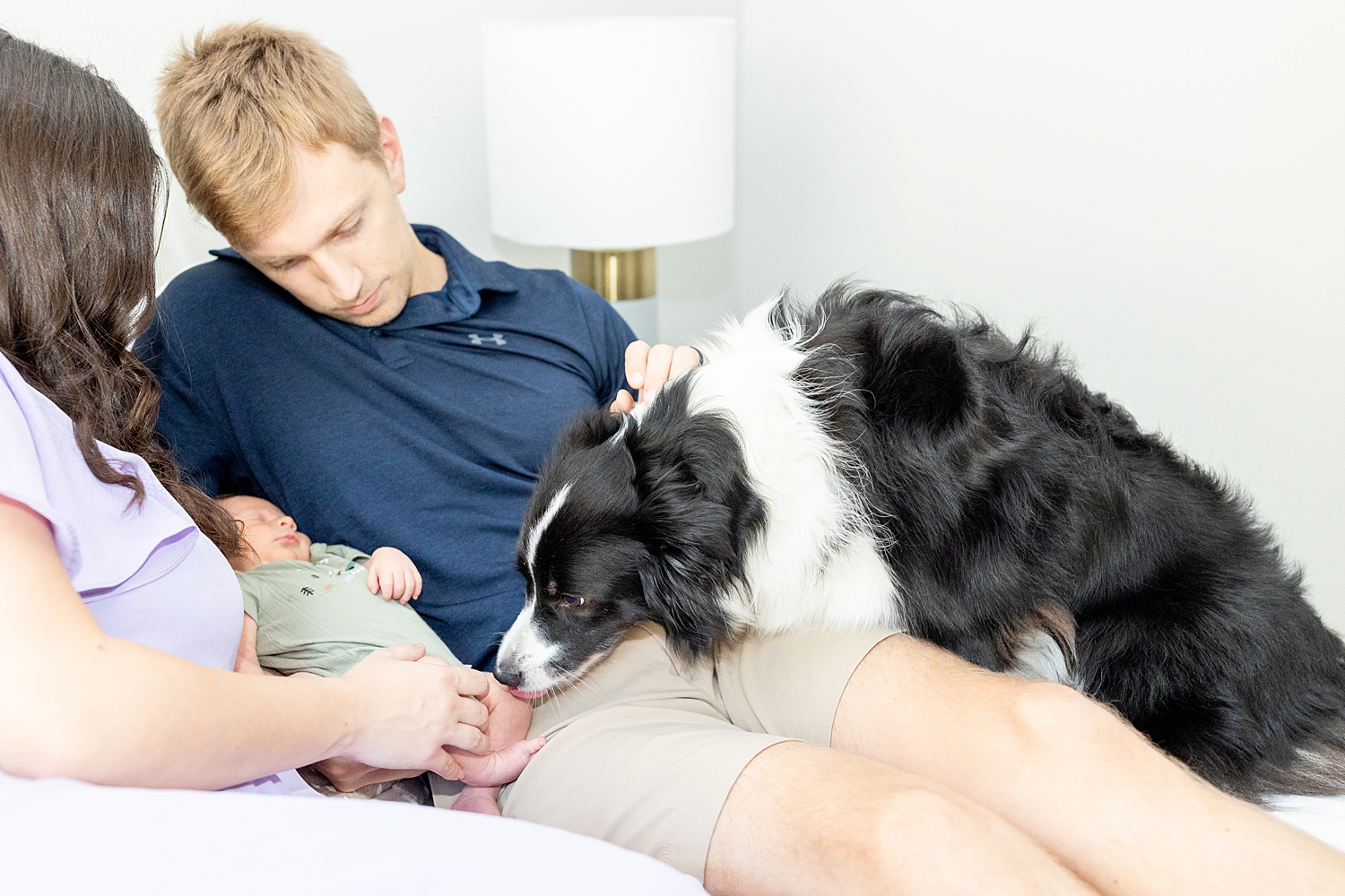 family dog sniffs newborn 