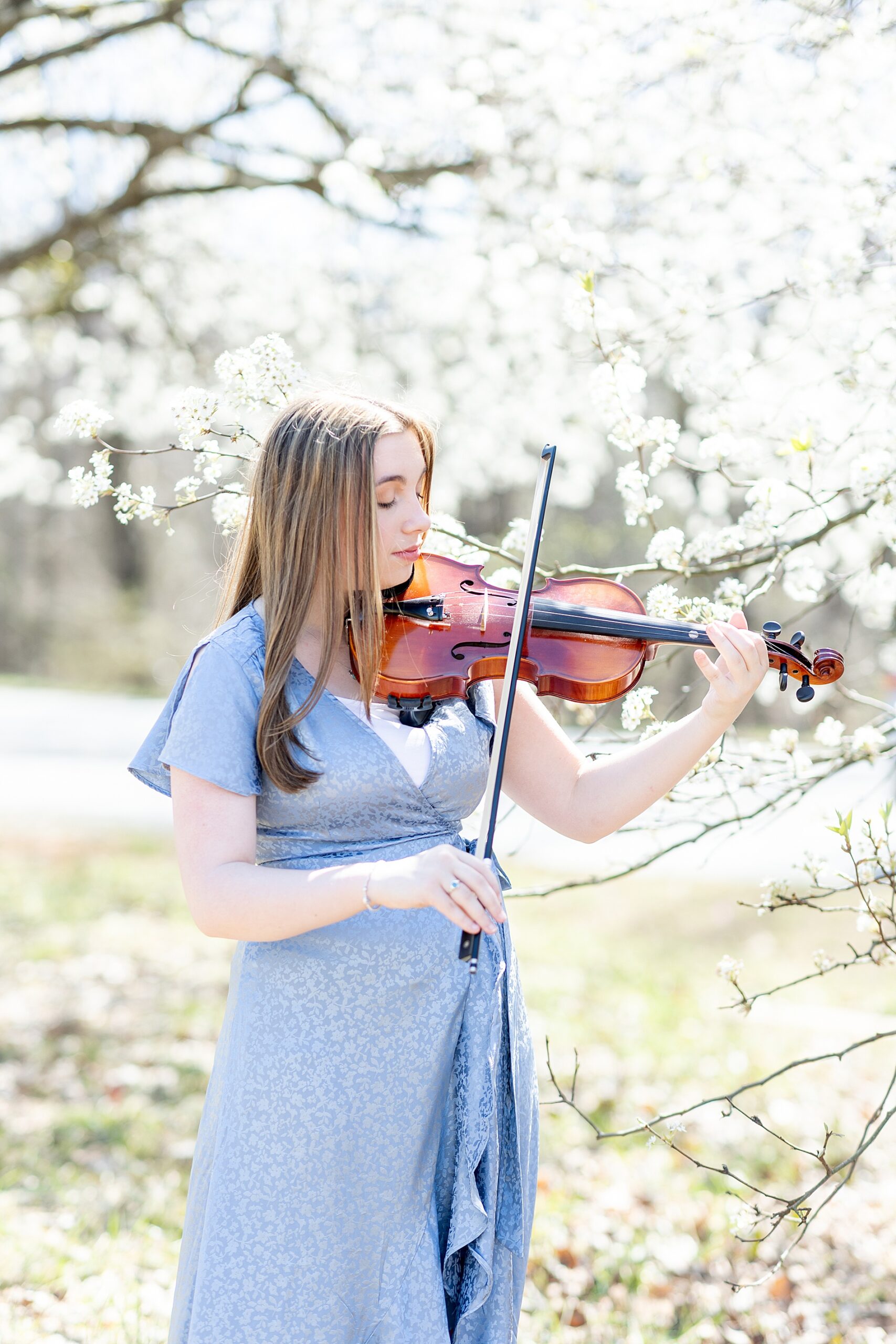 senior girl plays the violin by white cherry blossom tree