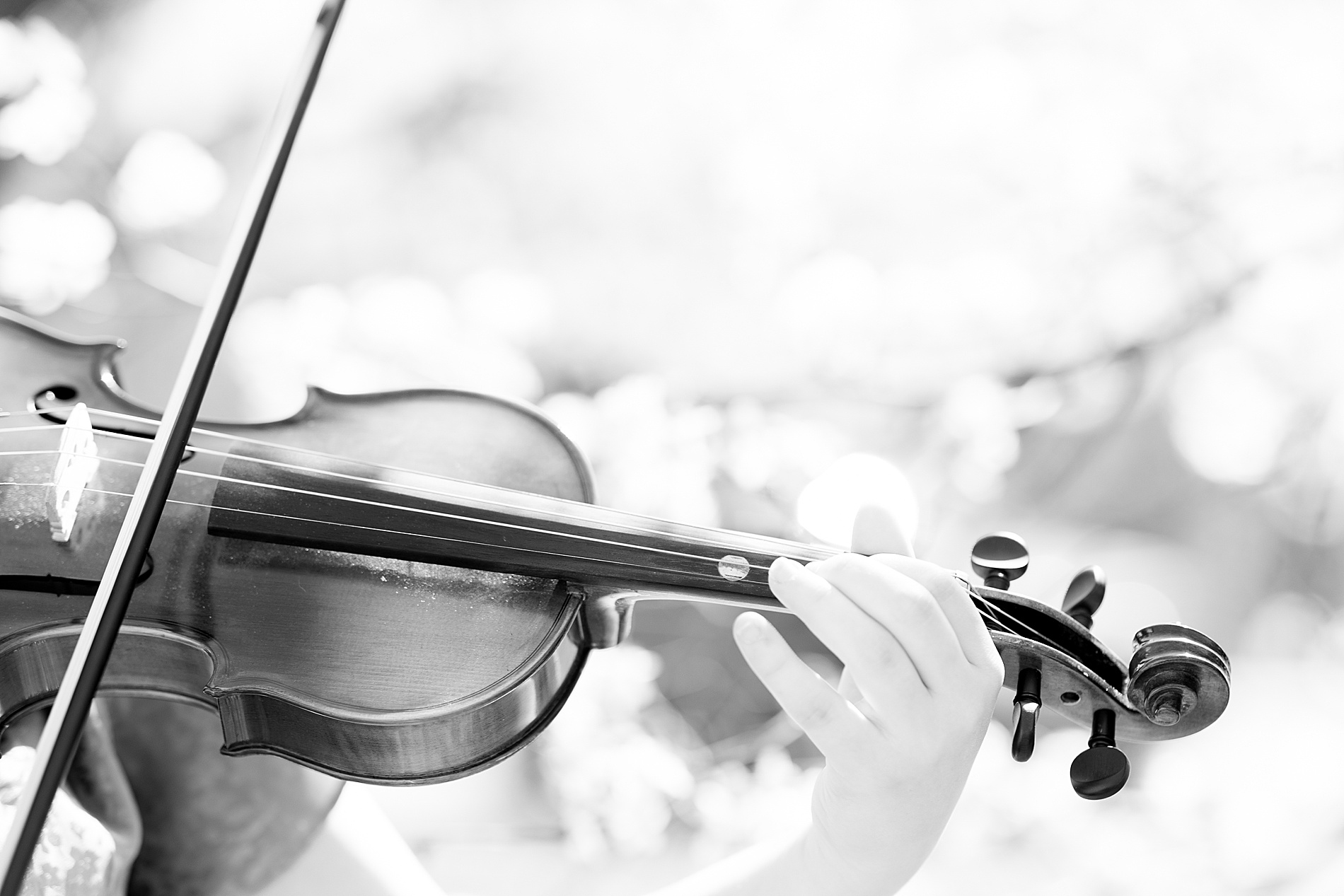 person playing the violin