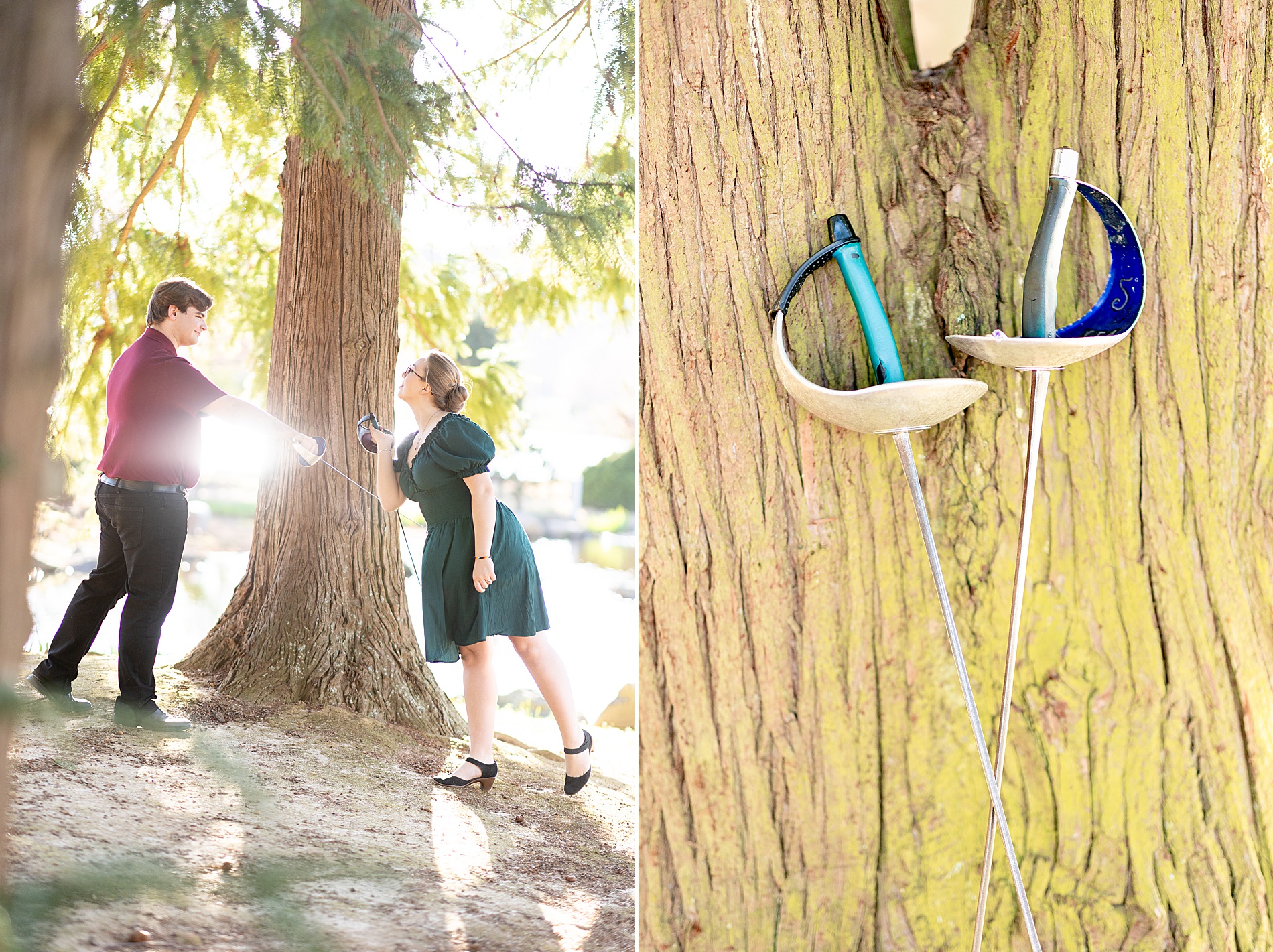 swords lean against tree