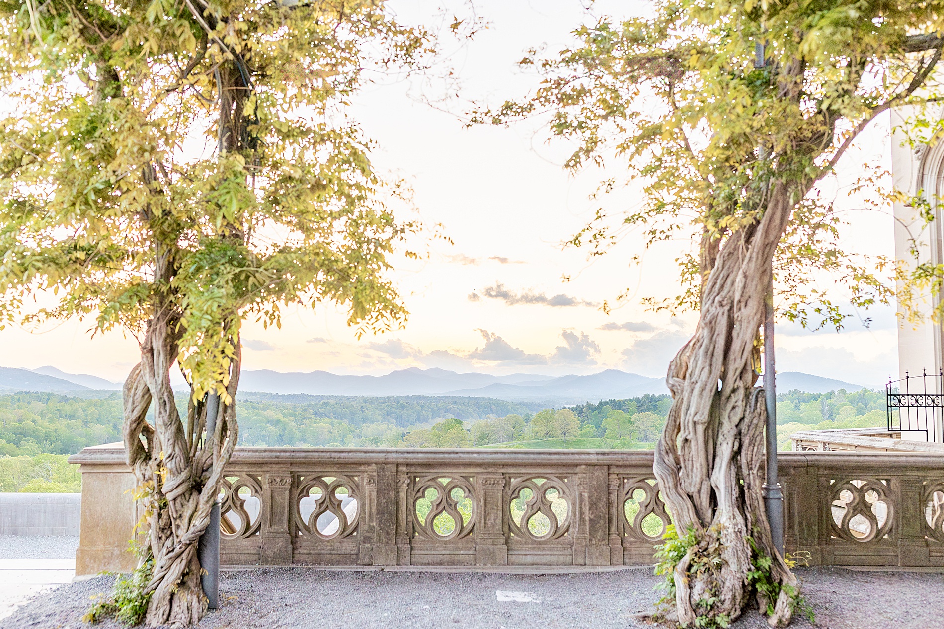 view of mountains in Asheville from Biltmore Estate