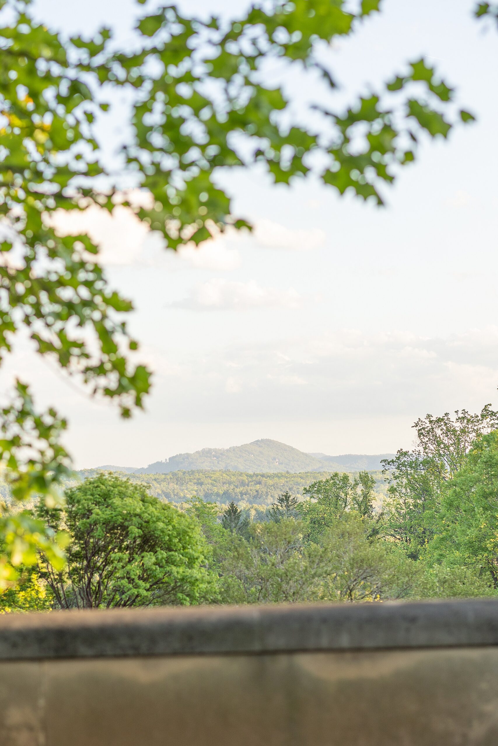 view of Asheville Mountains