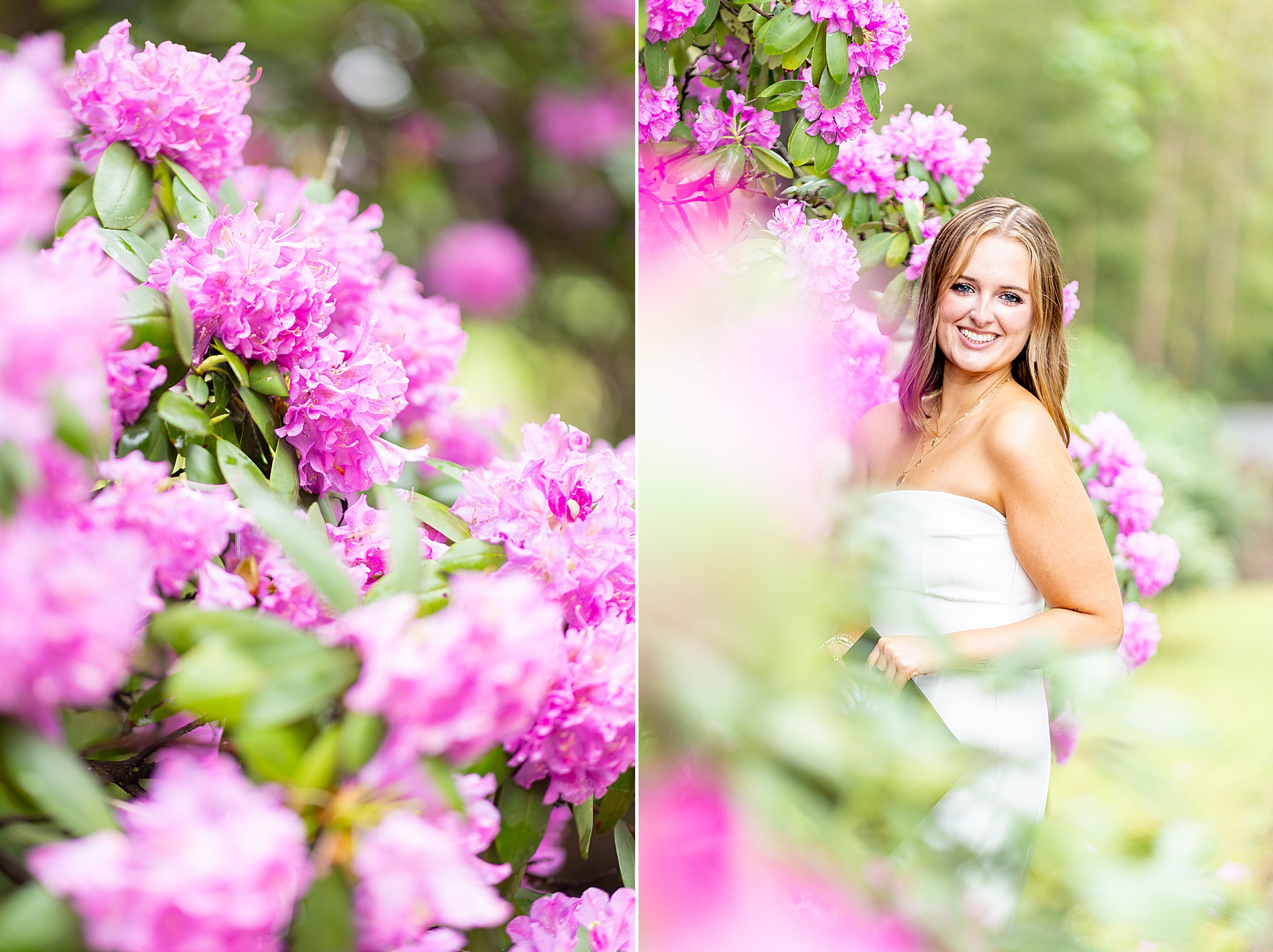 Furman University College Grad spring Session