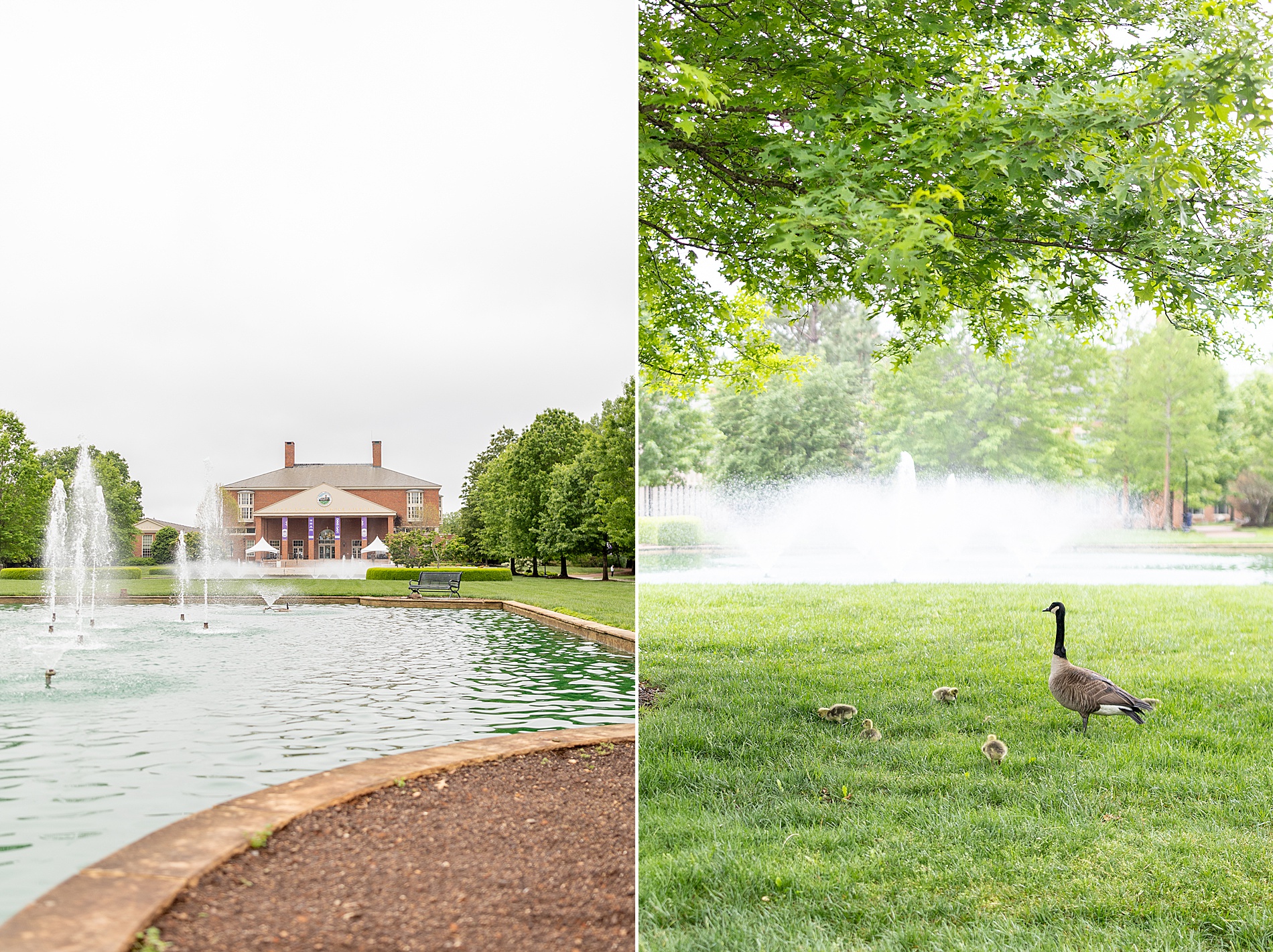 beautiful fountain area at Furman University
