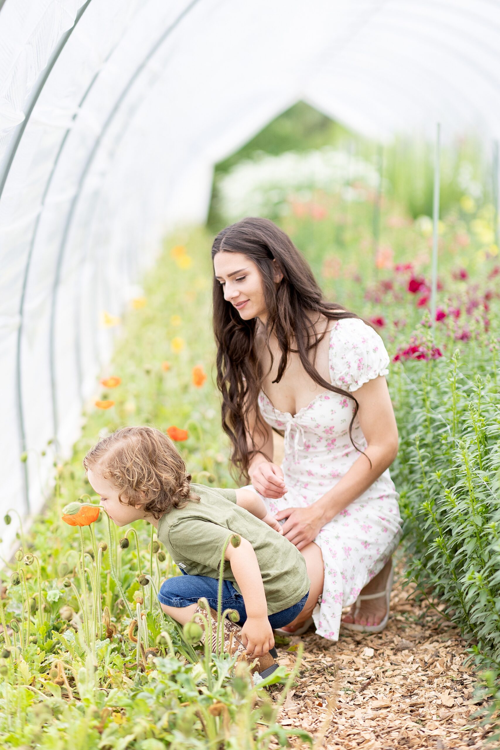 little boy smells orange flower 