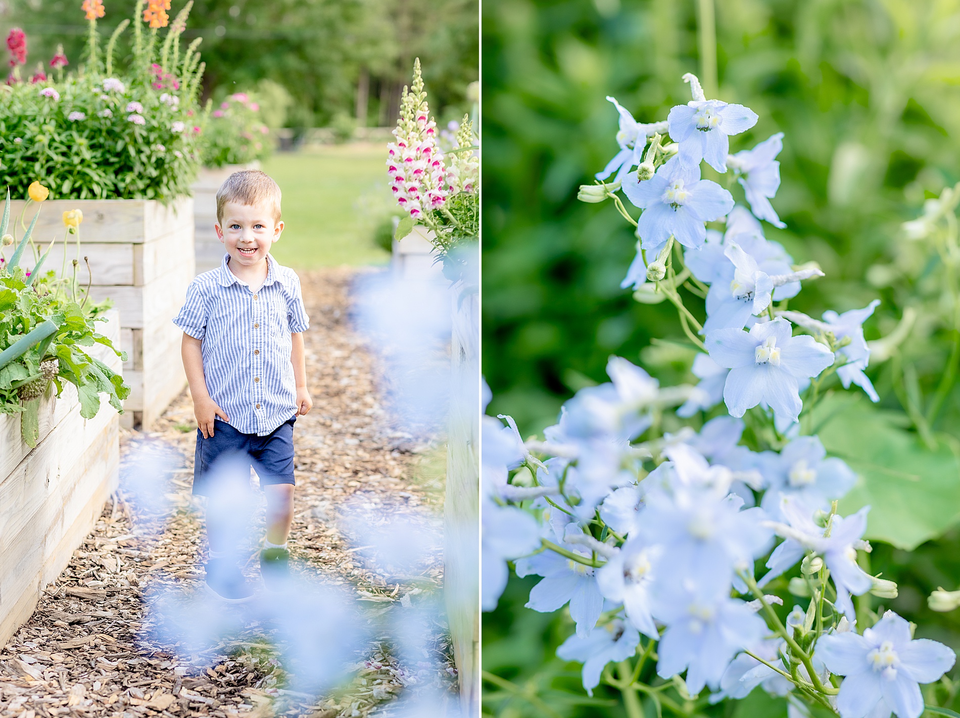 Greenville, SC spring portraits 