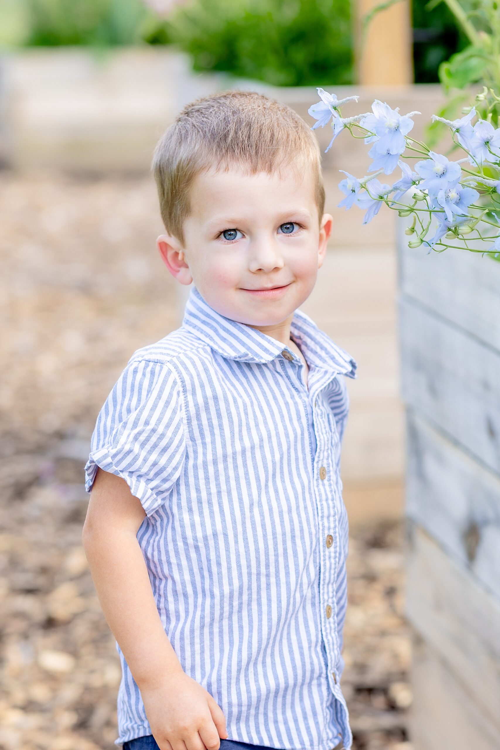 little boy by blue flowers