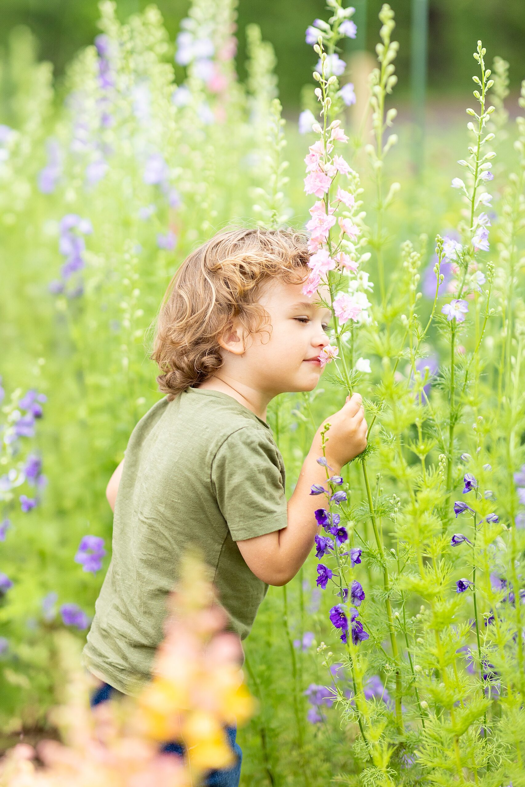 little boy stops to smell flowers