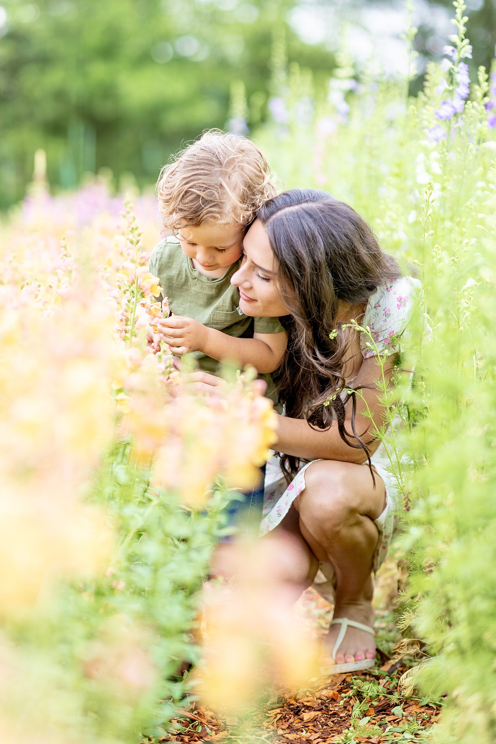 spring family portraits at Rabbit Crest Farms