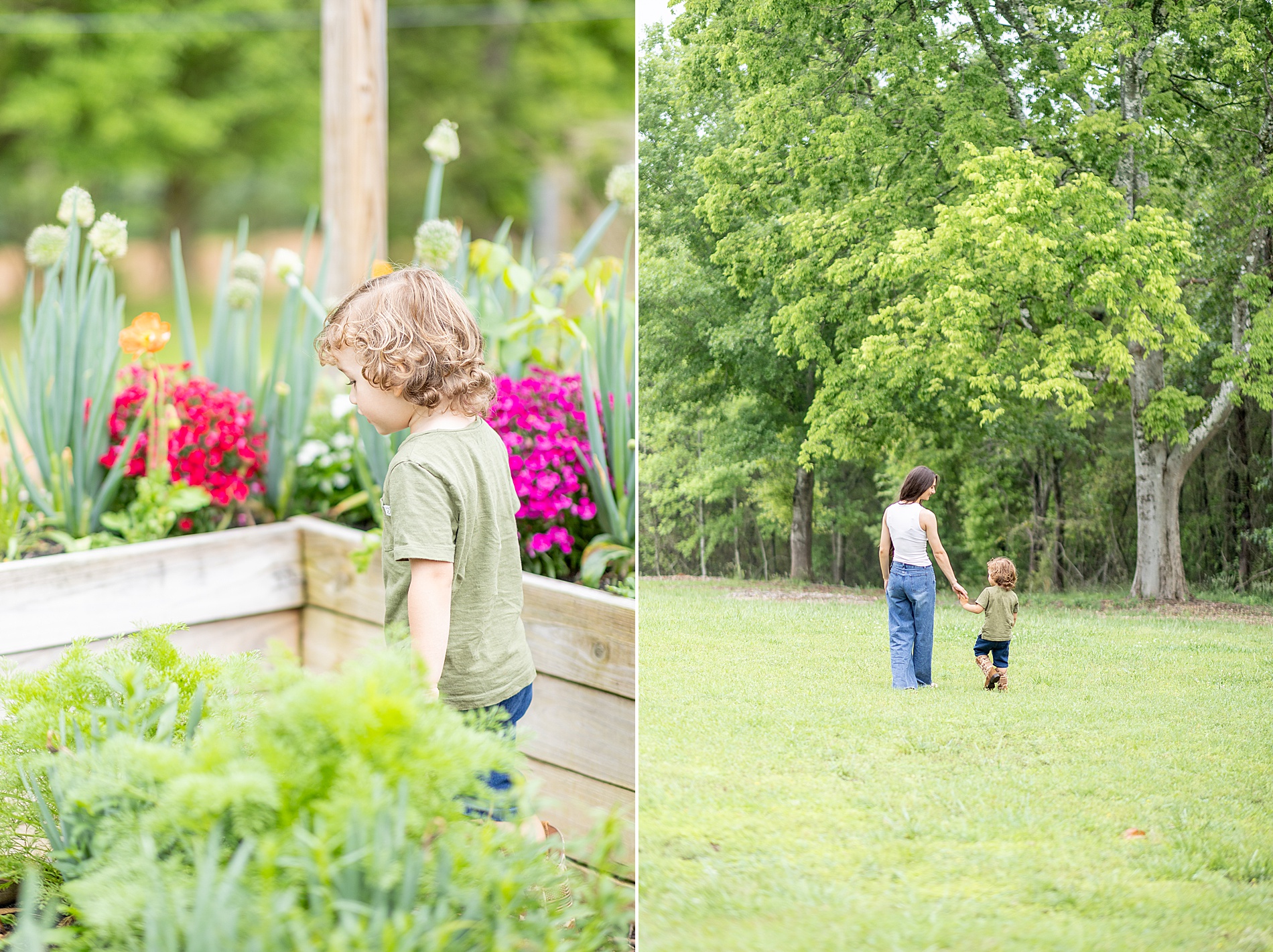 spring mini session at Rabbit Crest Farms in Greenville, SC