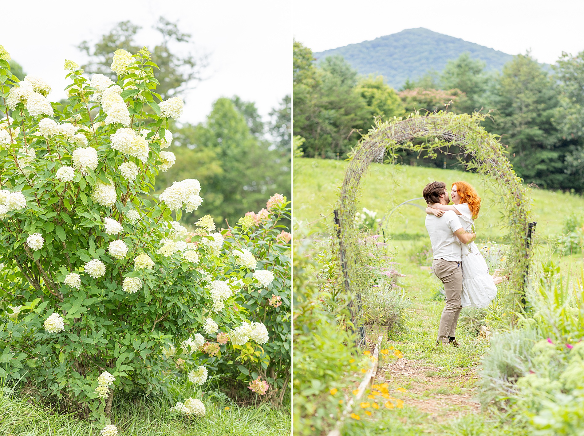 Anniversary Session at The Never Ending Flower Farm | Asheville, NC Wedding Photographer