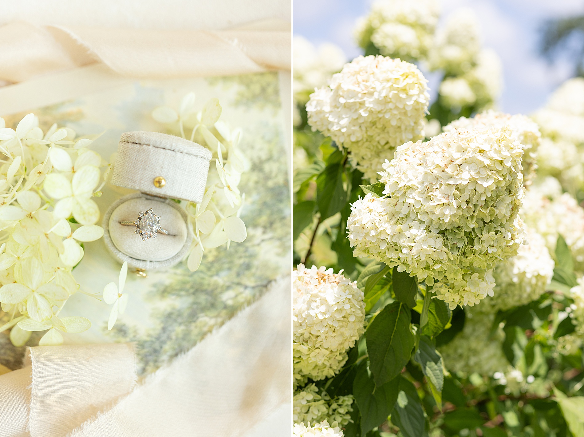 ring in ring box and summer flowers