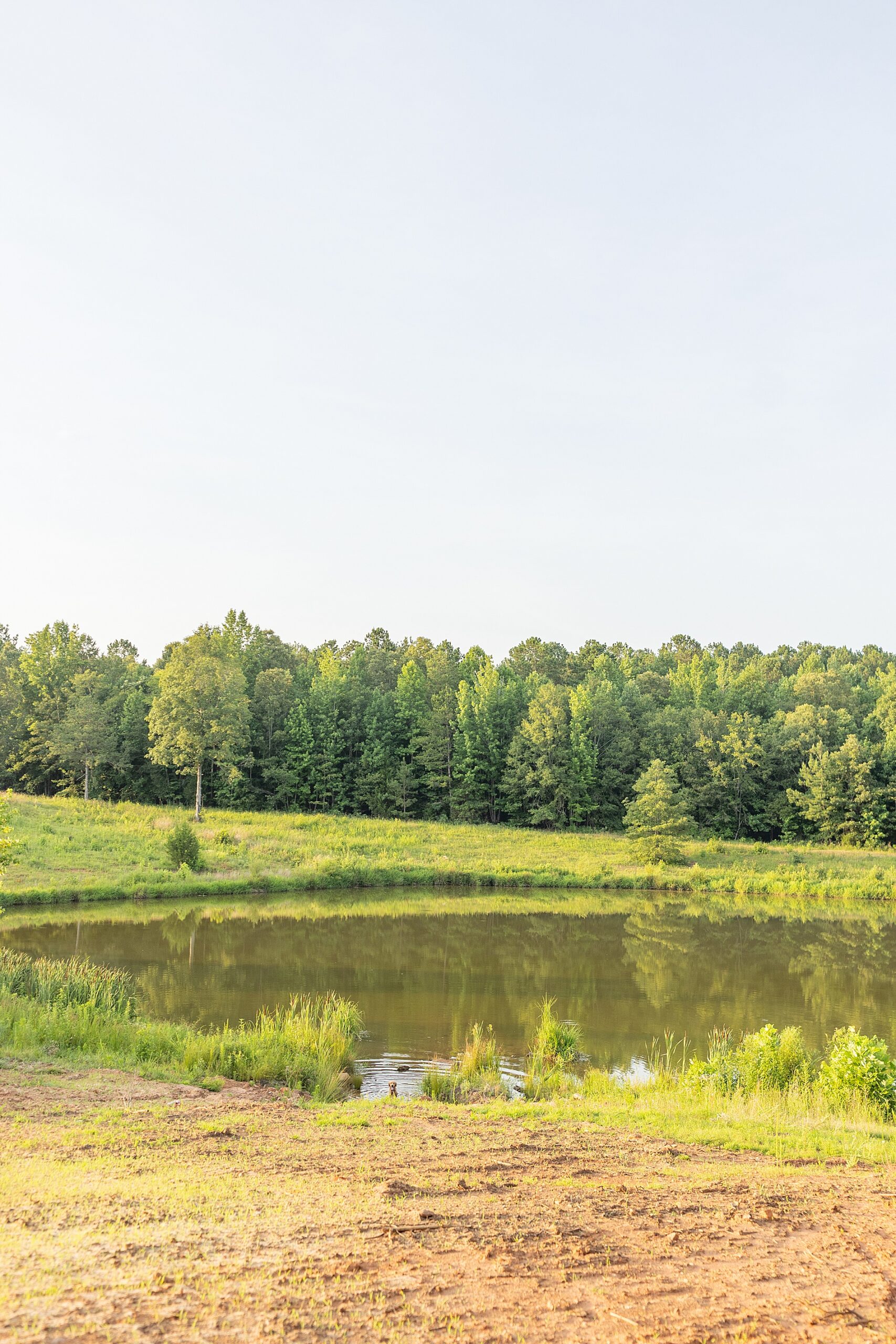 family property in Greenville, SC for lifestyle session