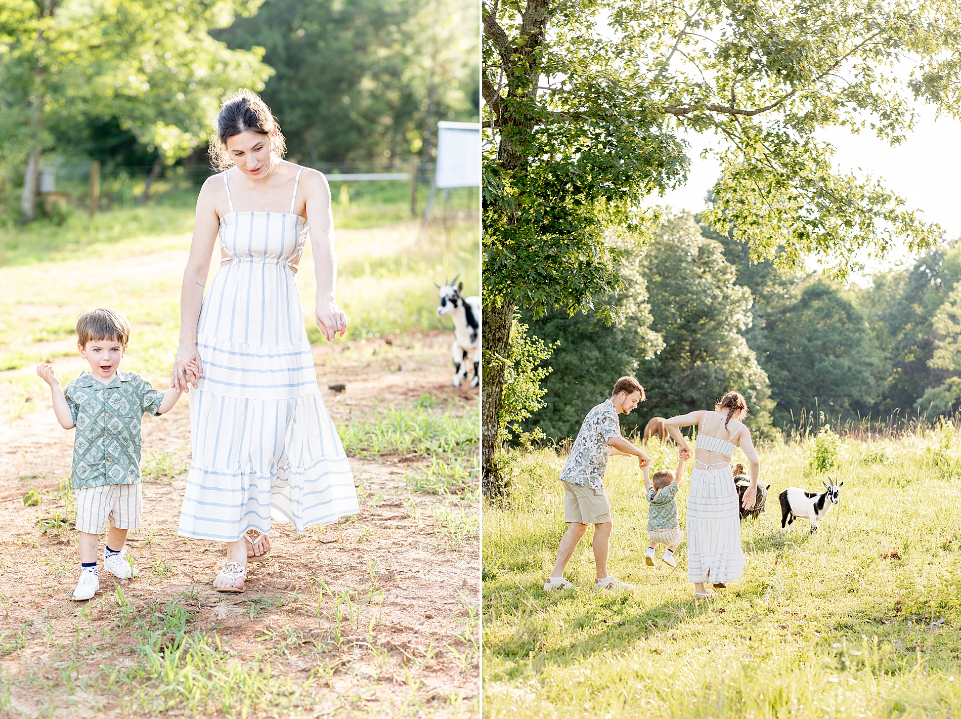 family walks path on property