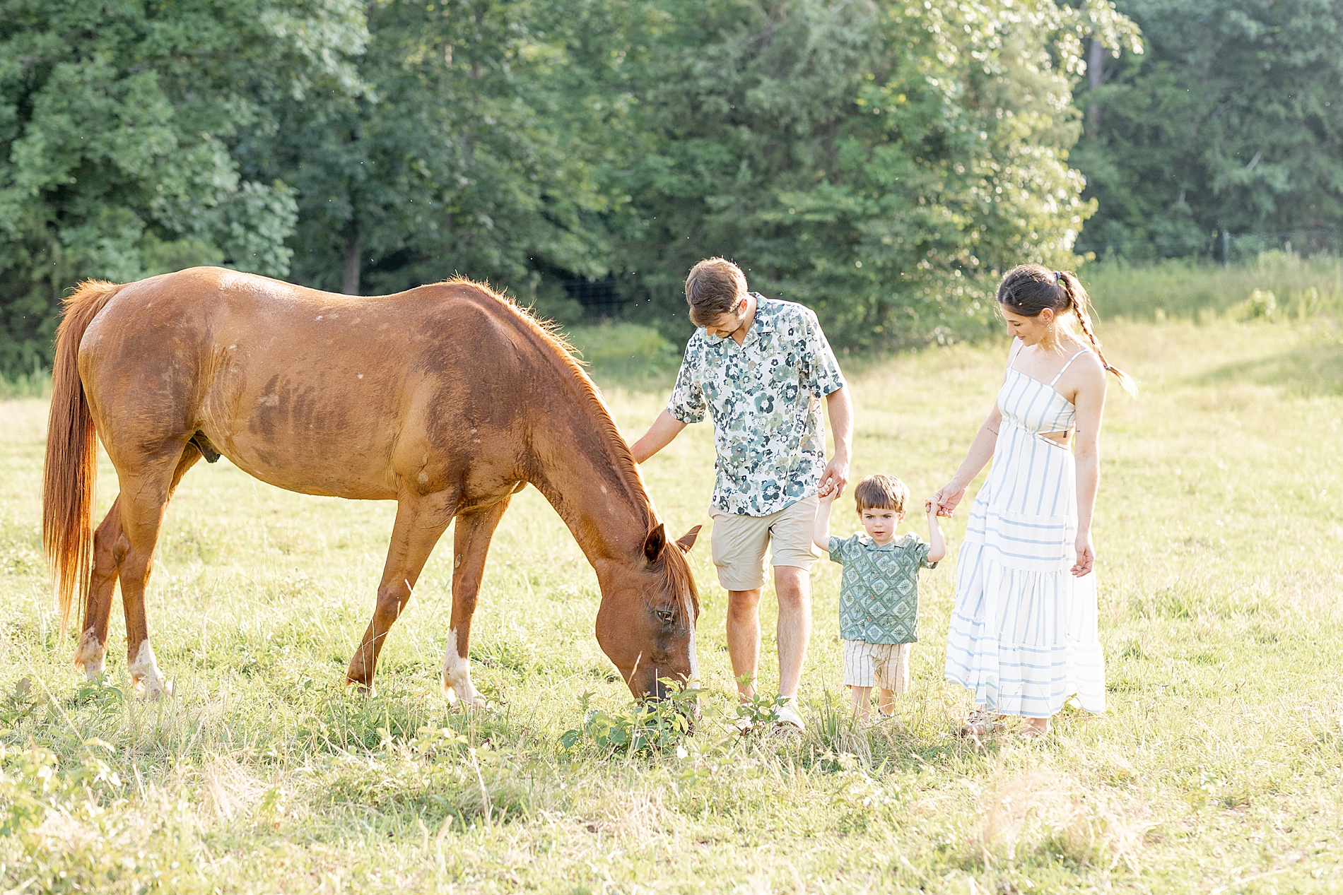 Greenville, SC Outdoor Lifestyle Session