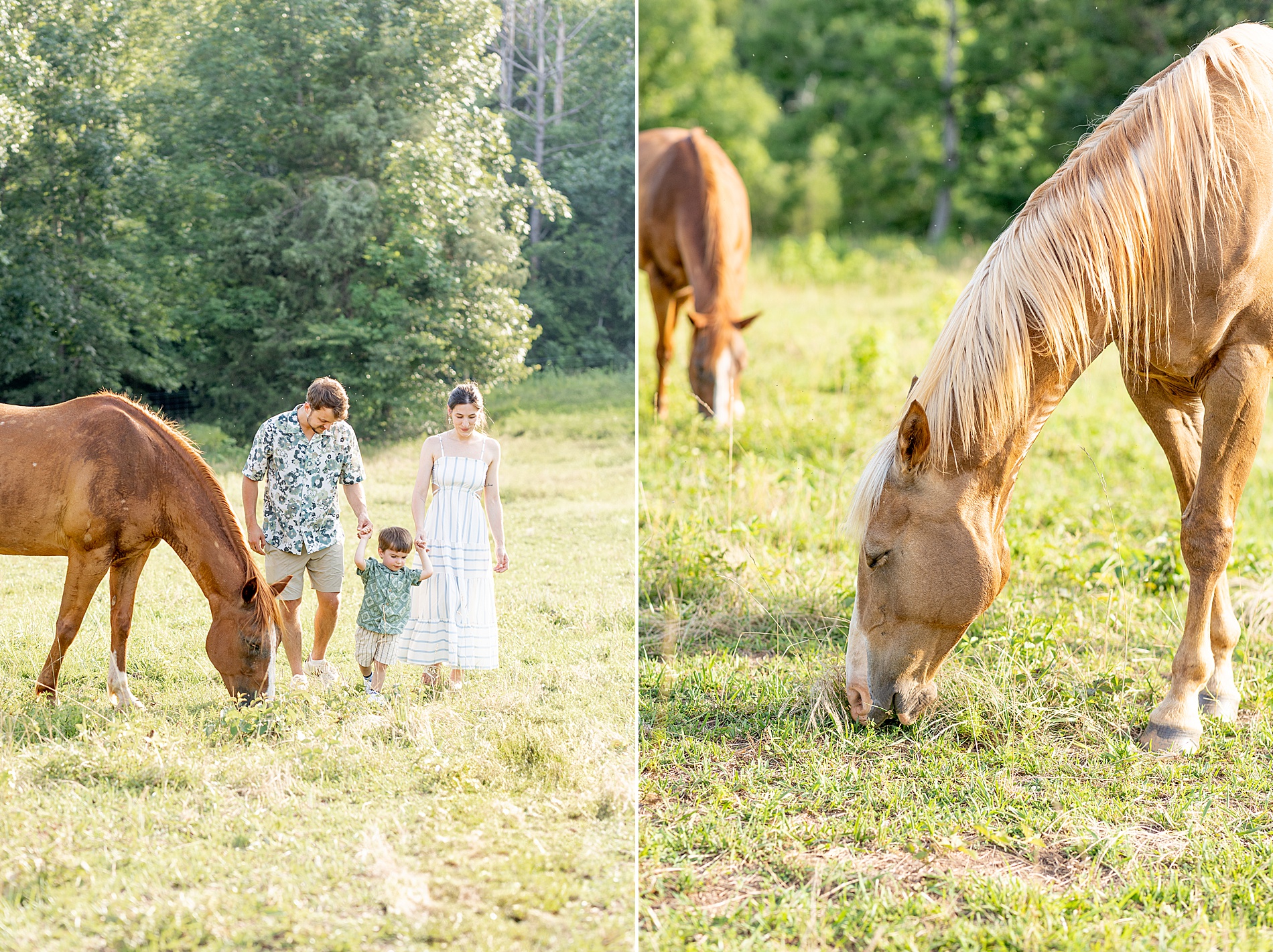 Greenville, SC Outdoor Lifestyle Session on family farm