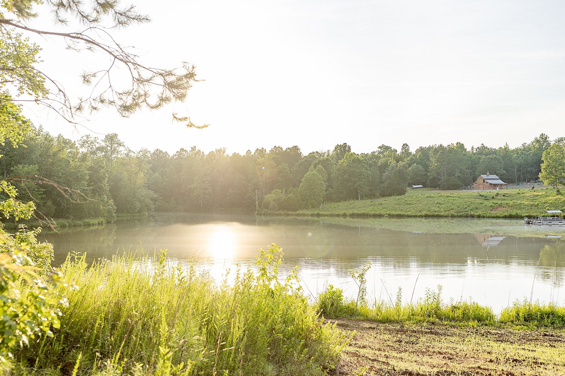sunlight of lake on family property in Greenville, SC