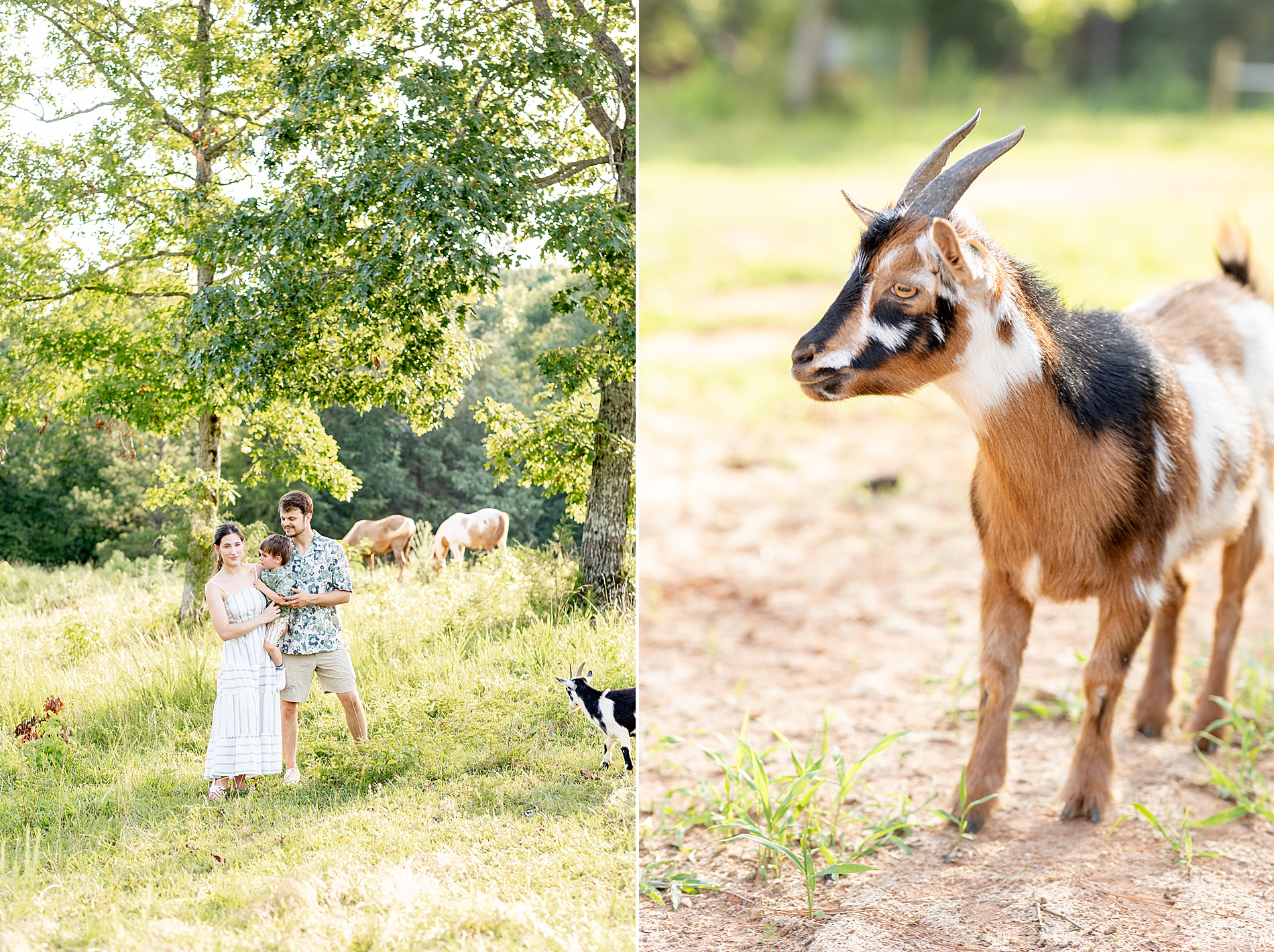 family farm lifestyle portraits