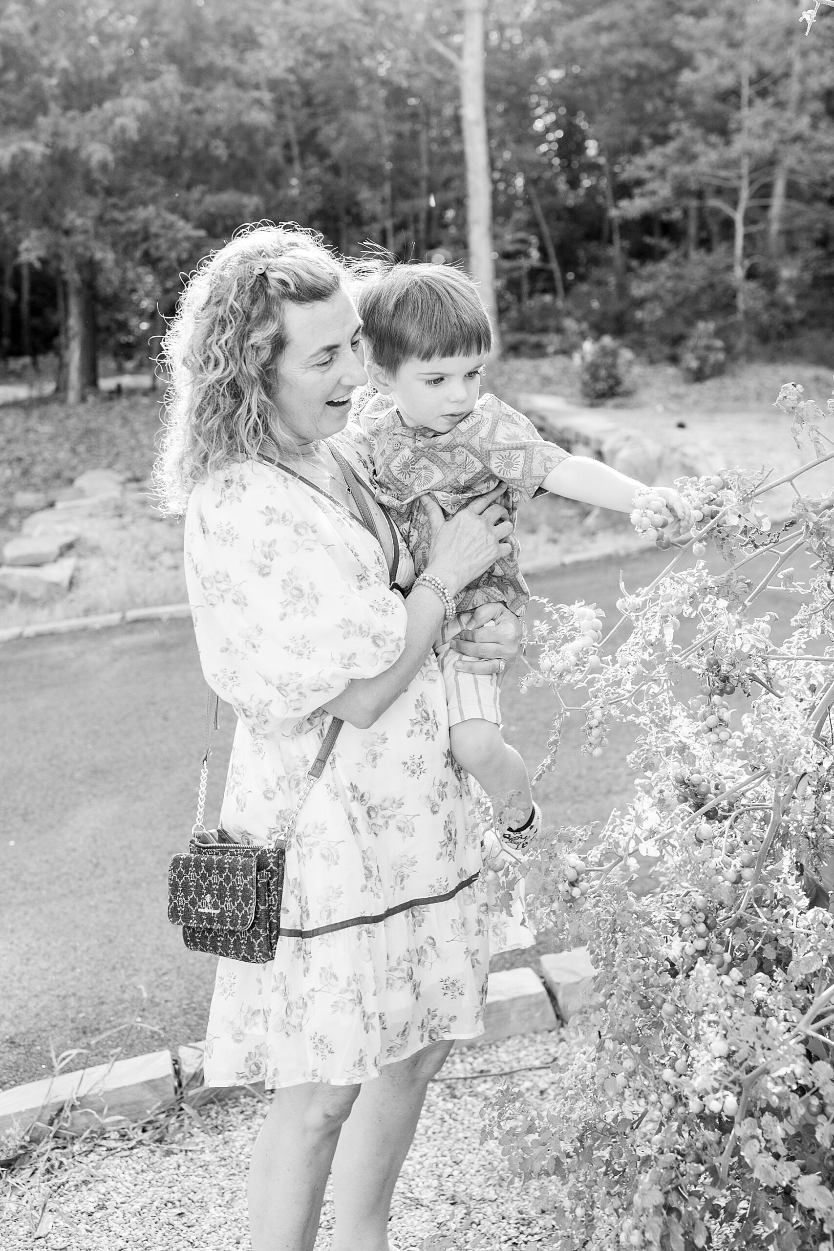 little boy looking at garden