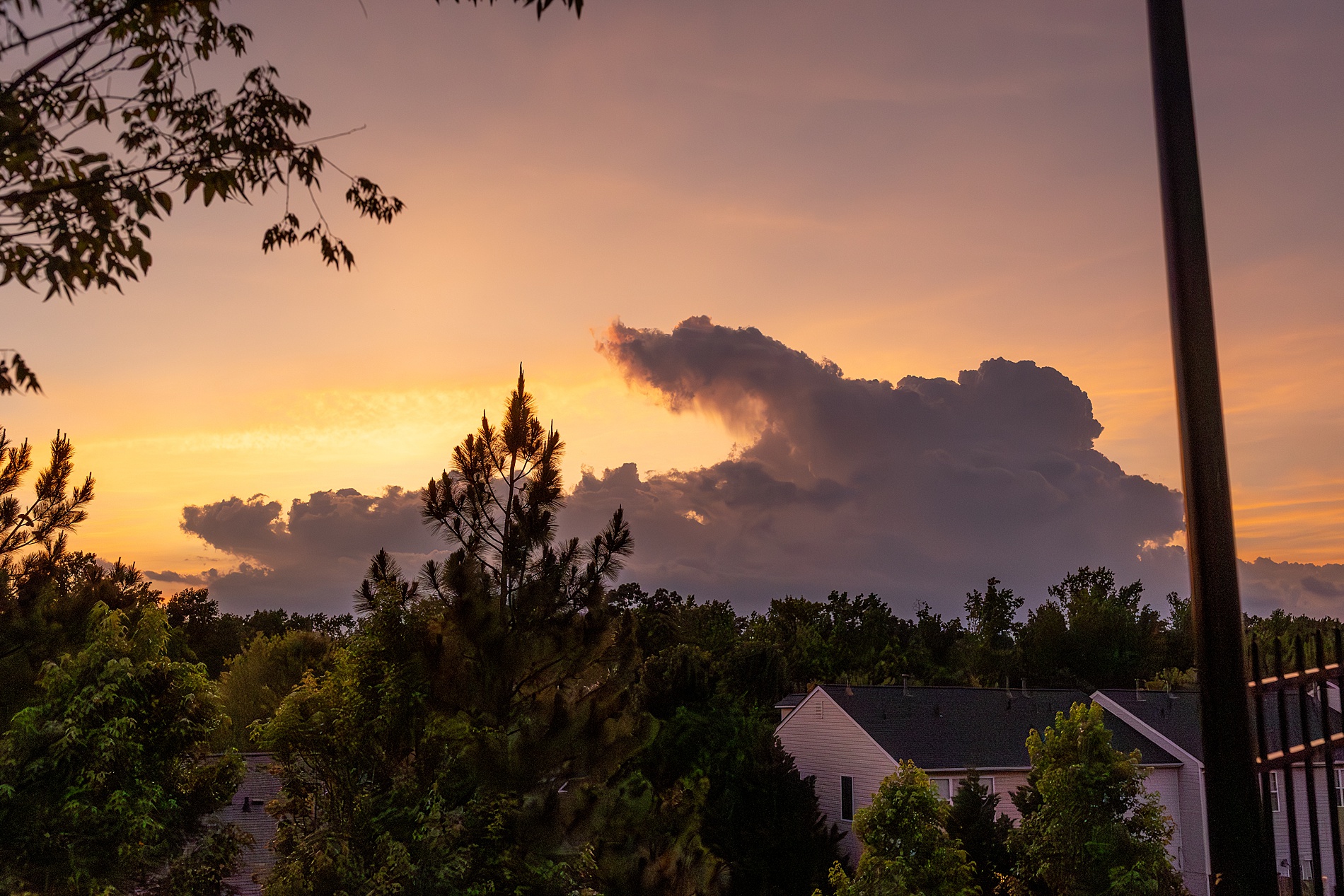 Greenville, SC Outdoor Lifestyle Session