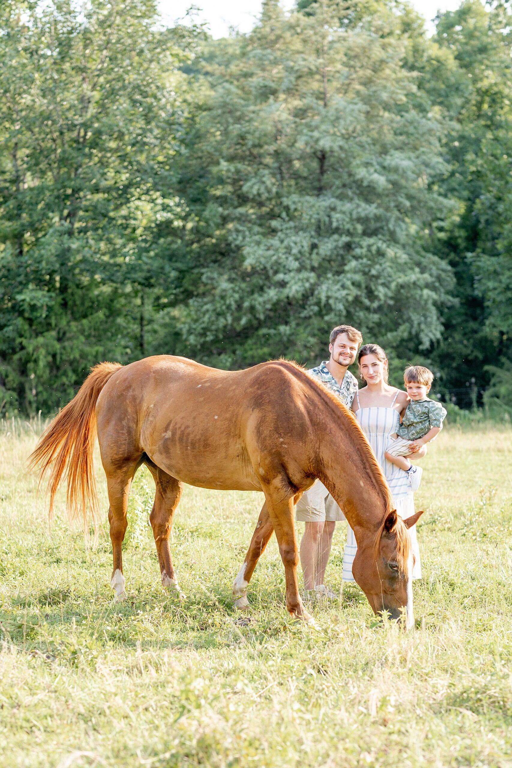 family by horse
