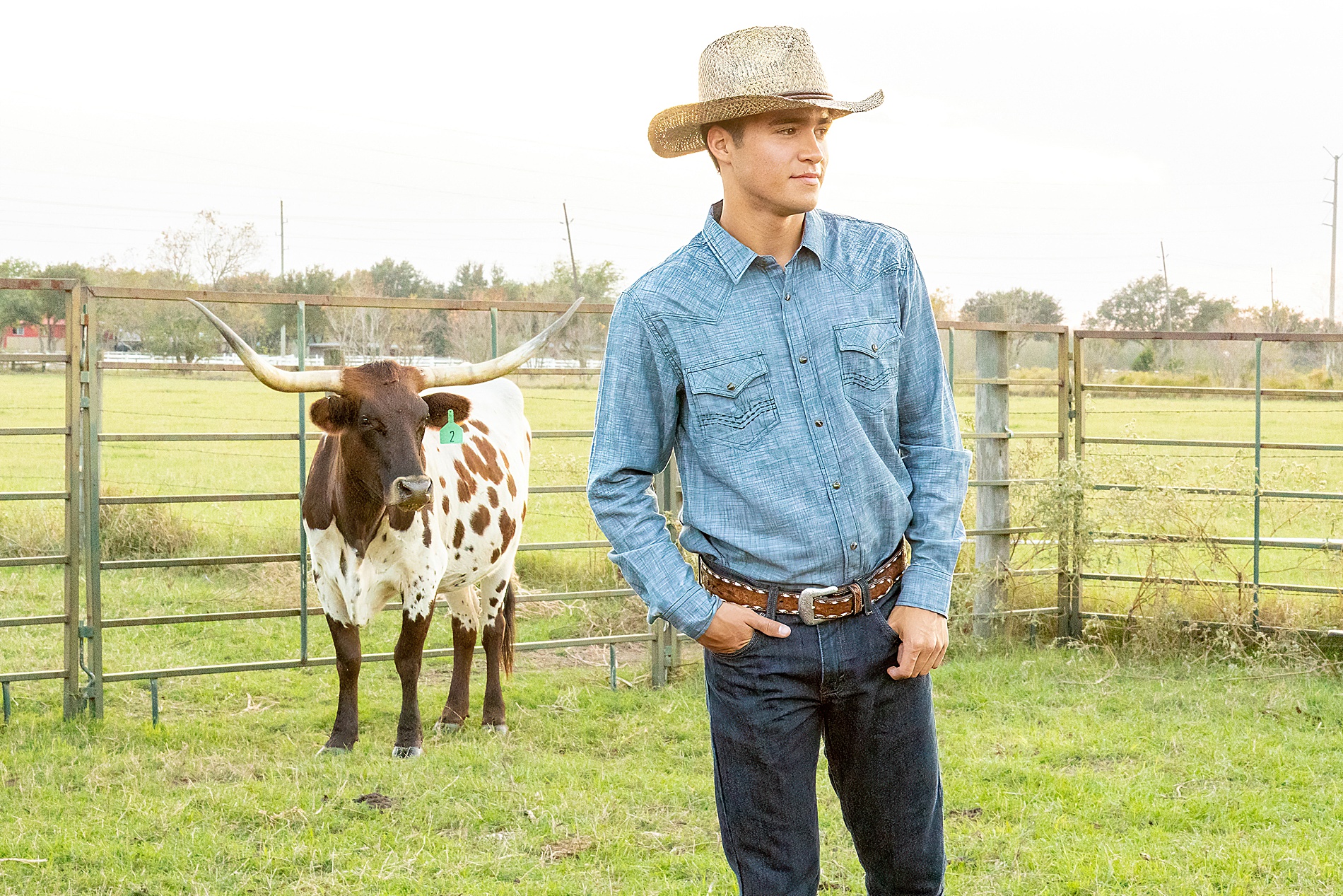 Houston Texas Senior Portraits with Longhorn